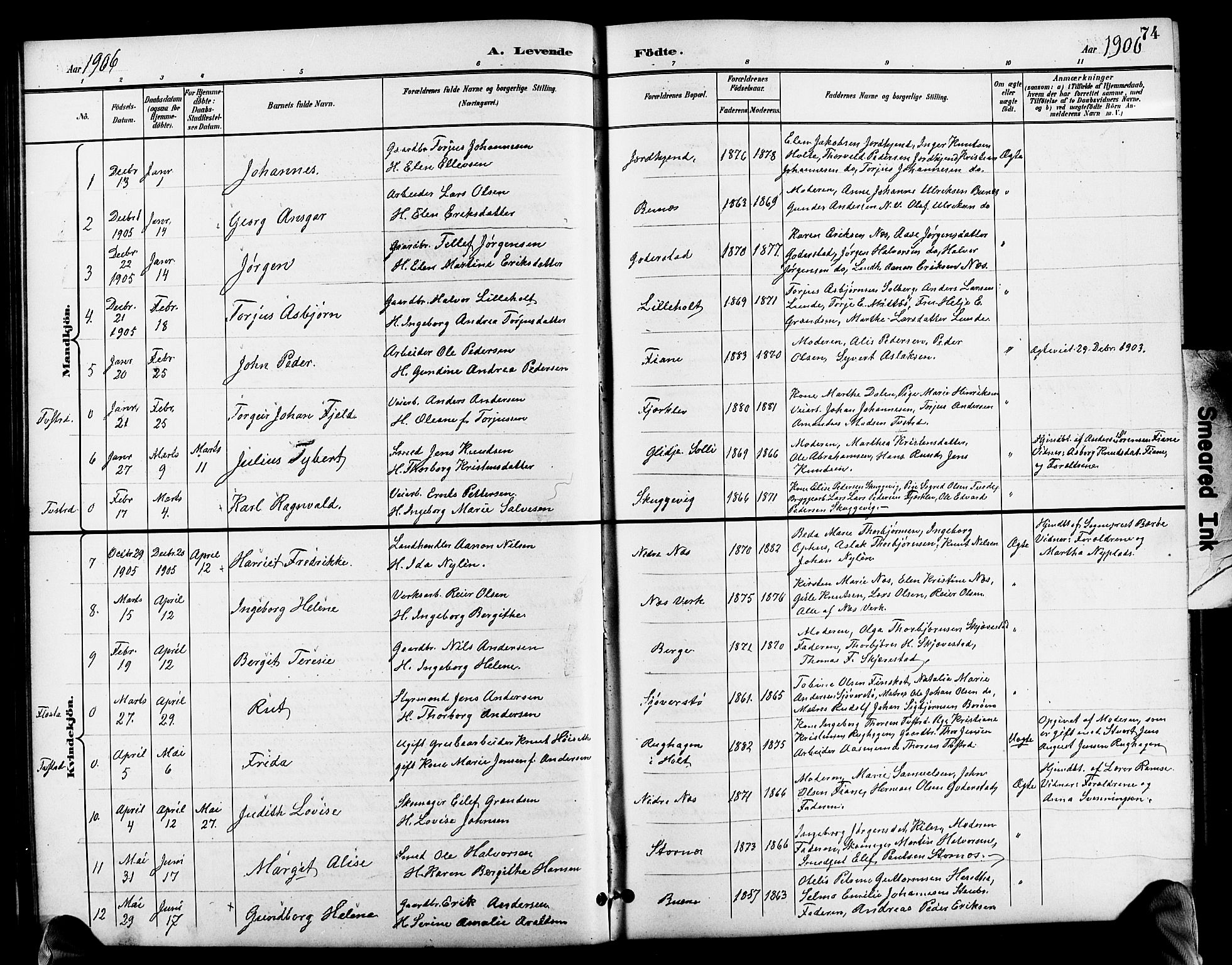 Holt sokneprestkontor, SAK/1111-0021/F/Fb/L0011: Parish register (copy) no. B 11, 1897-1921, p. 74