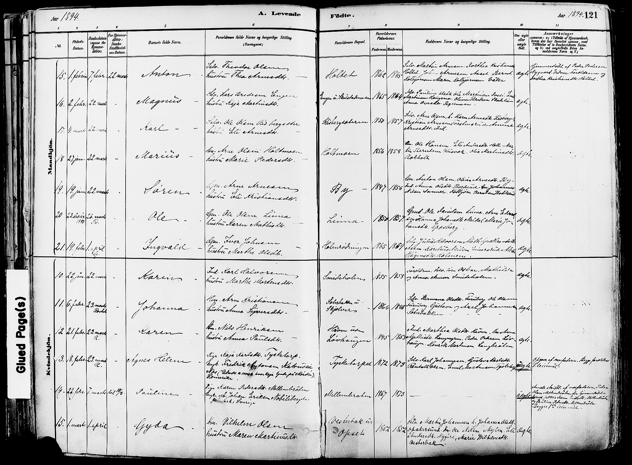 Grue prestekontor, AV/SAH-PREST-036/H/Ha/Haa/L0012: Parish register (official) no. 12, 1881-1897, p. 121