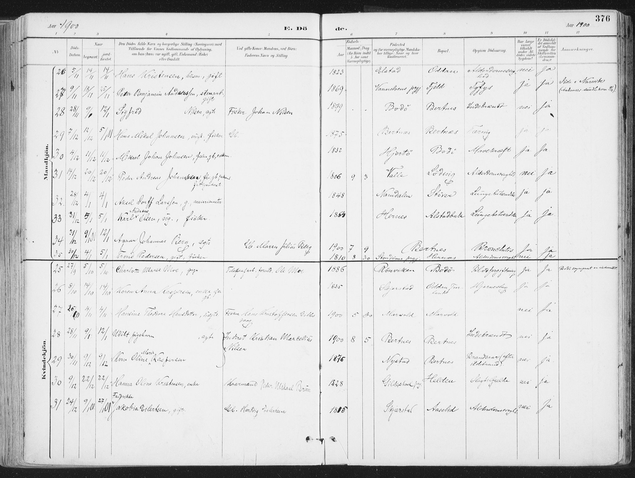 Ministerialprotokoller, klokkerbøker og fødselsregistre - Nordland, AV/SAT-A-1459/802/L0055: Parish register (official) no. 802A02, 1894-1915, p. 376