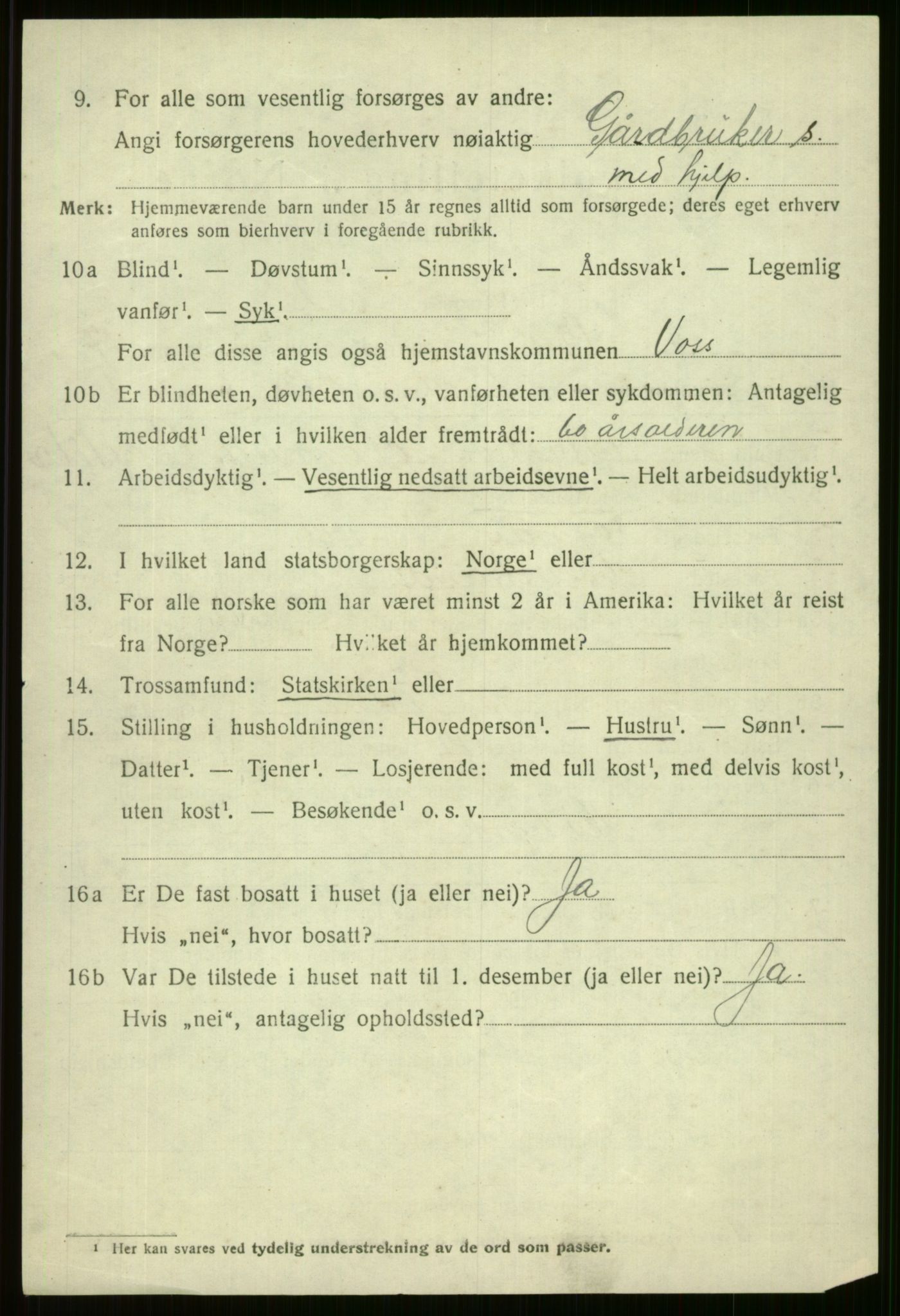 SAB, 1920 census for Voss, 1920, p. 13602