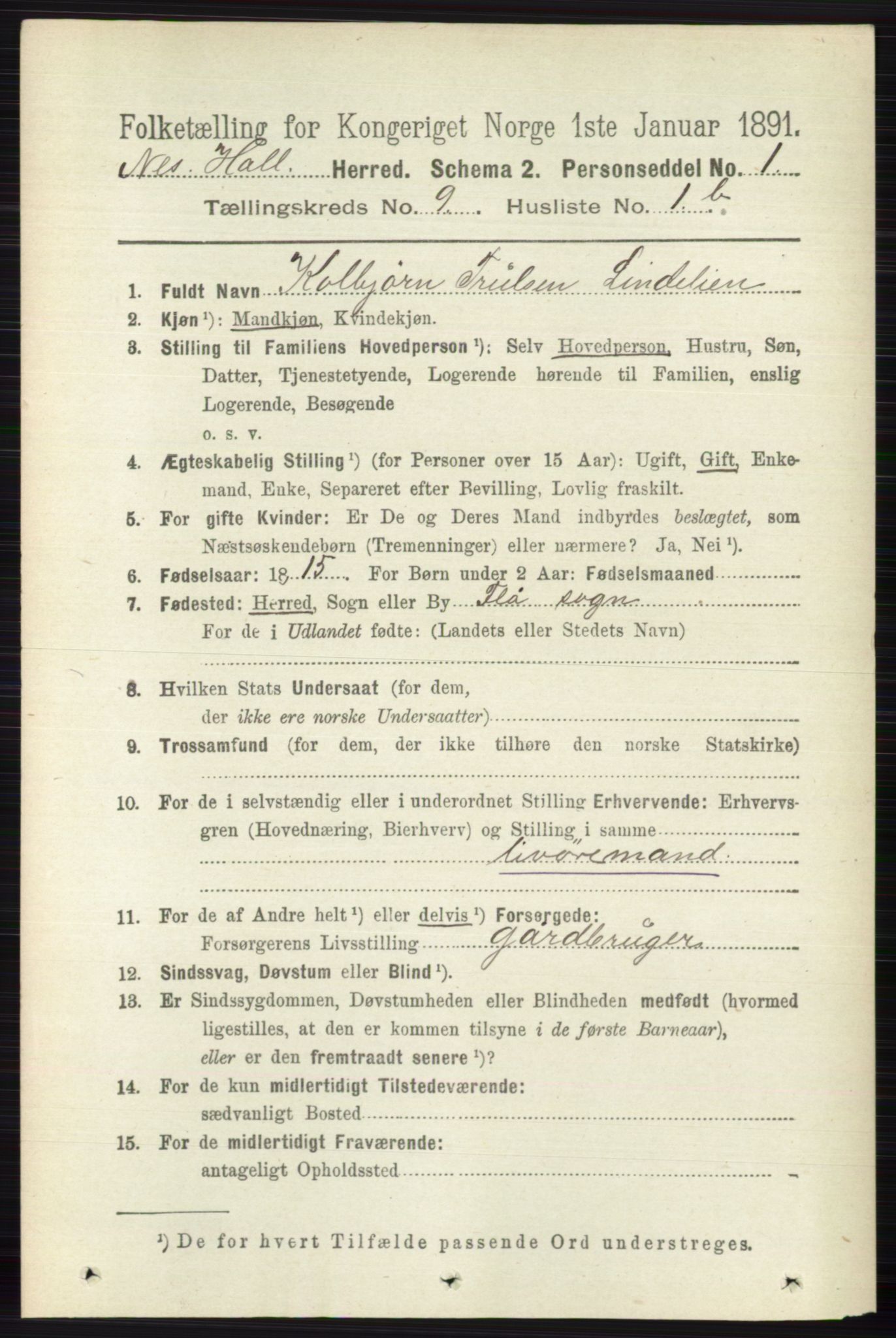 RA, 1891 census for 0616 Nes, 1891, p. 4342