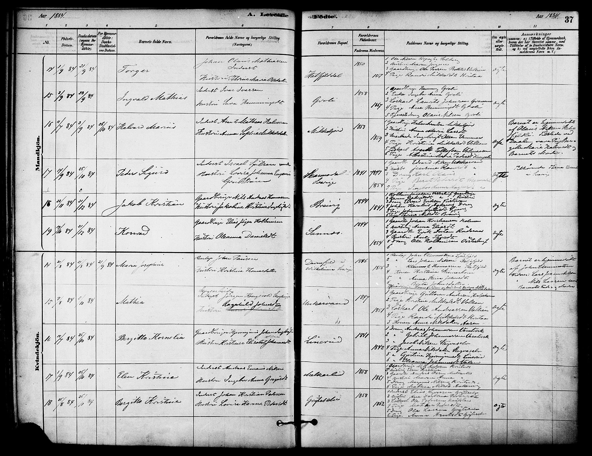 Ministerialprotokoller, klokkerbøker og fødselsregistre - Nordland, AV/SAT-A-1459/823/L0325: Parish register (official) no. 823A02, 1878-1898, p. 37