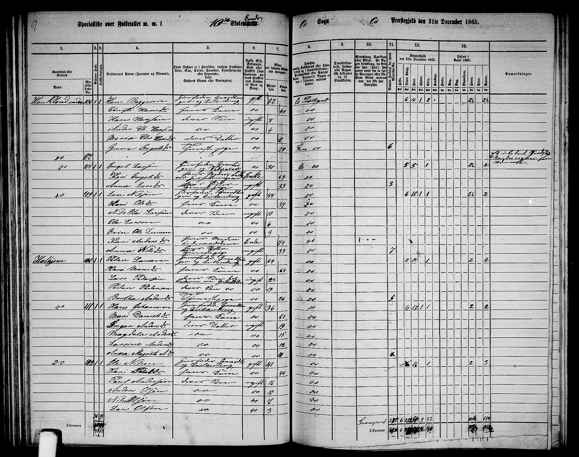 RA, 1865 census for Os, 1865, p. 55