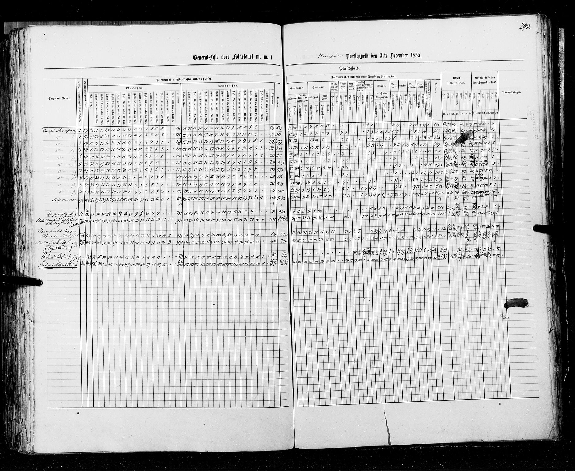 RA, Census 1855, vol. 3: Bratsberg amt, Nedenes amt og Lister og Mandal amt, 1855, p. 293