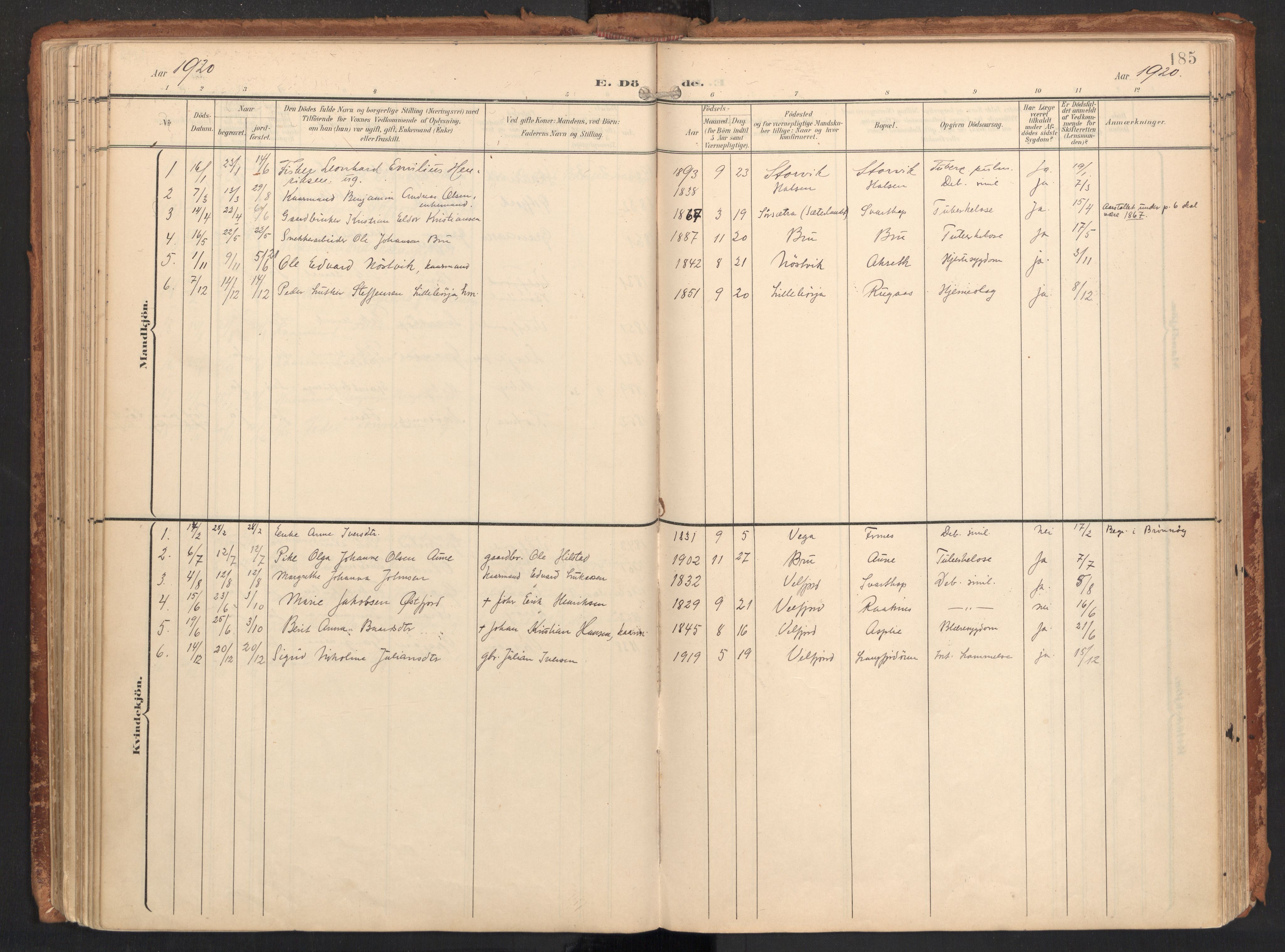 Ministerialprotokoller, klokkerbøker og fødselsregistre - Nordland, SAT/A-1459/814/L0227: Parish register (official) no. 814A08, 1899-1920, p. 185