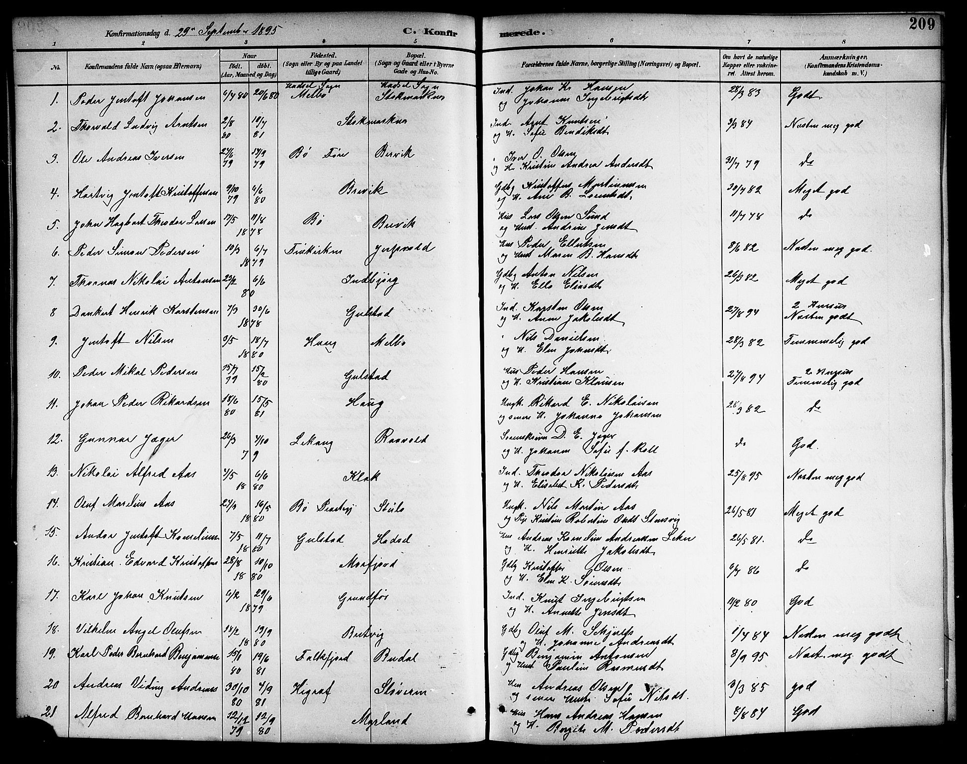 Ministerialprotokoller, klokkerbøker og fødselsregistre - Nordland, AV/SAT-A-1459/888/L1268: Parish register (copy) no. 888C06, 1891-1908, p. 209