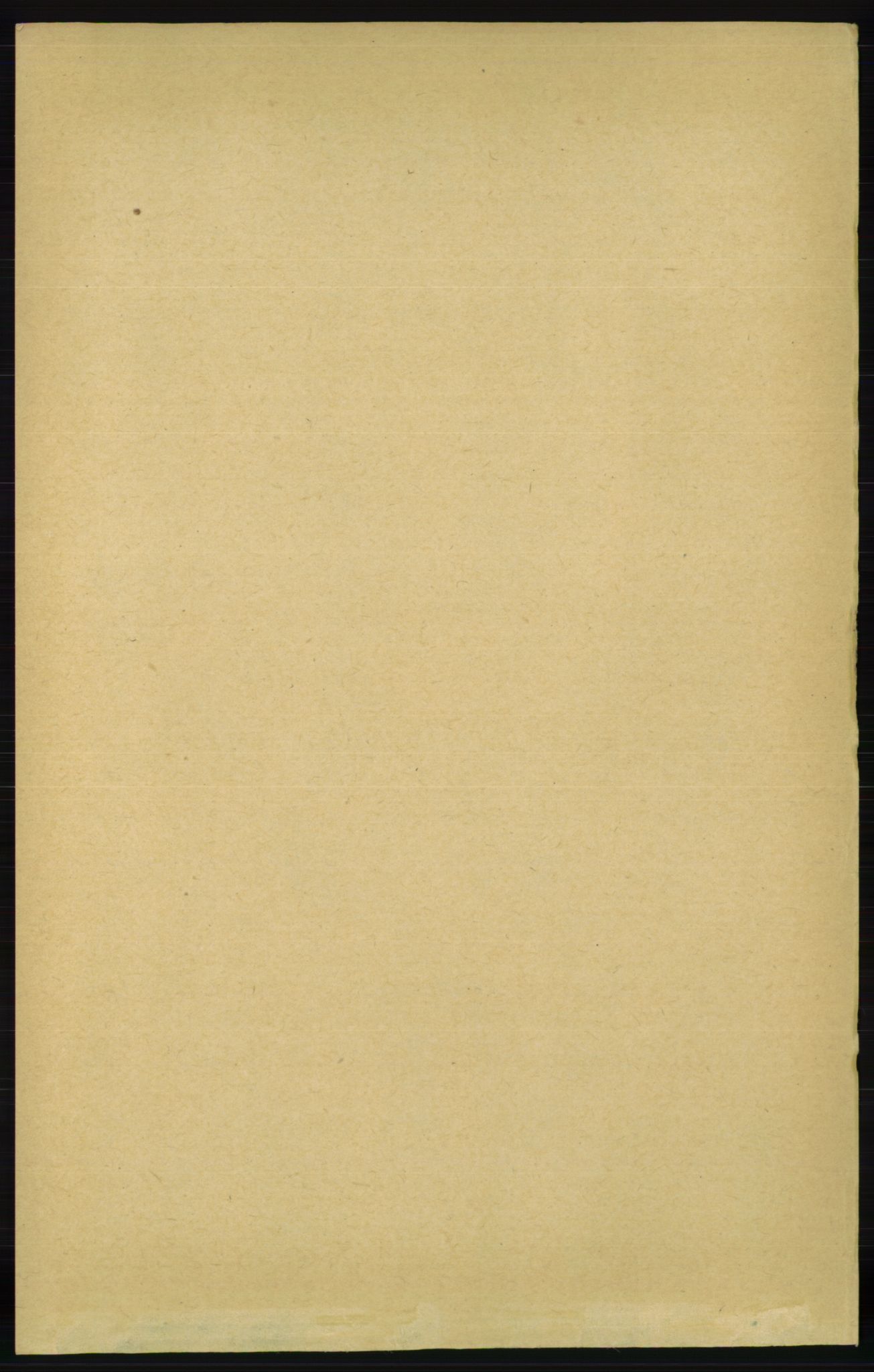 RA, 1891 census for 1012 Oddernes, 1891, p. 1255