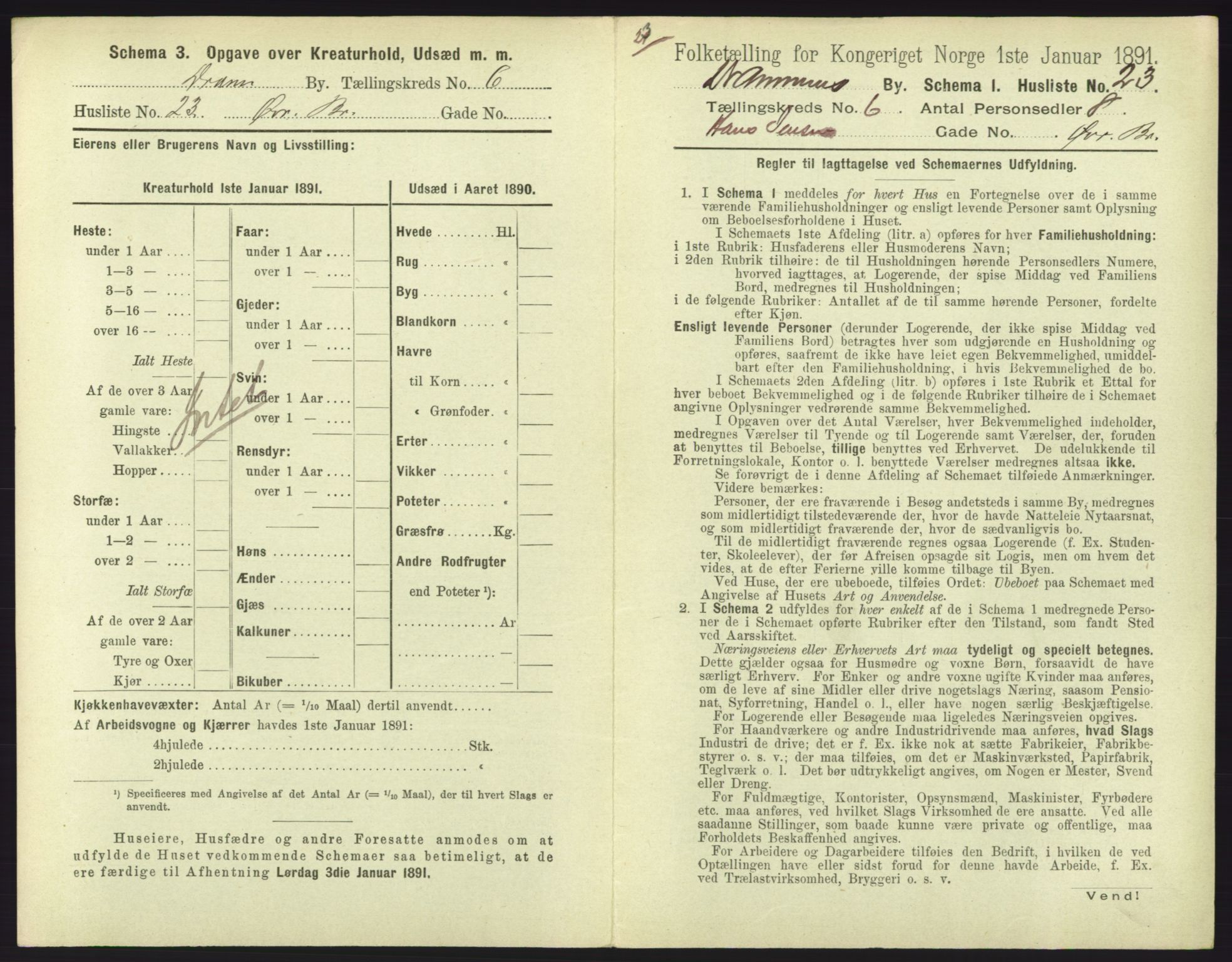 RA, 1891 census for 0602 Drammen, 1891, p. 565