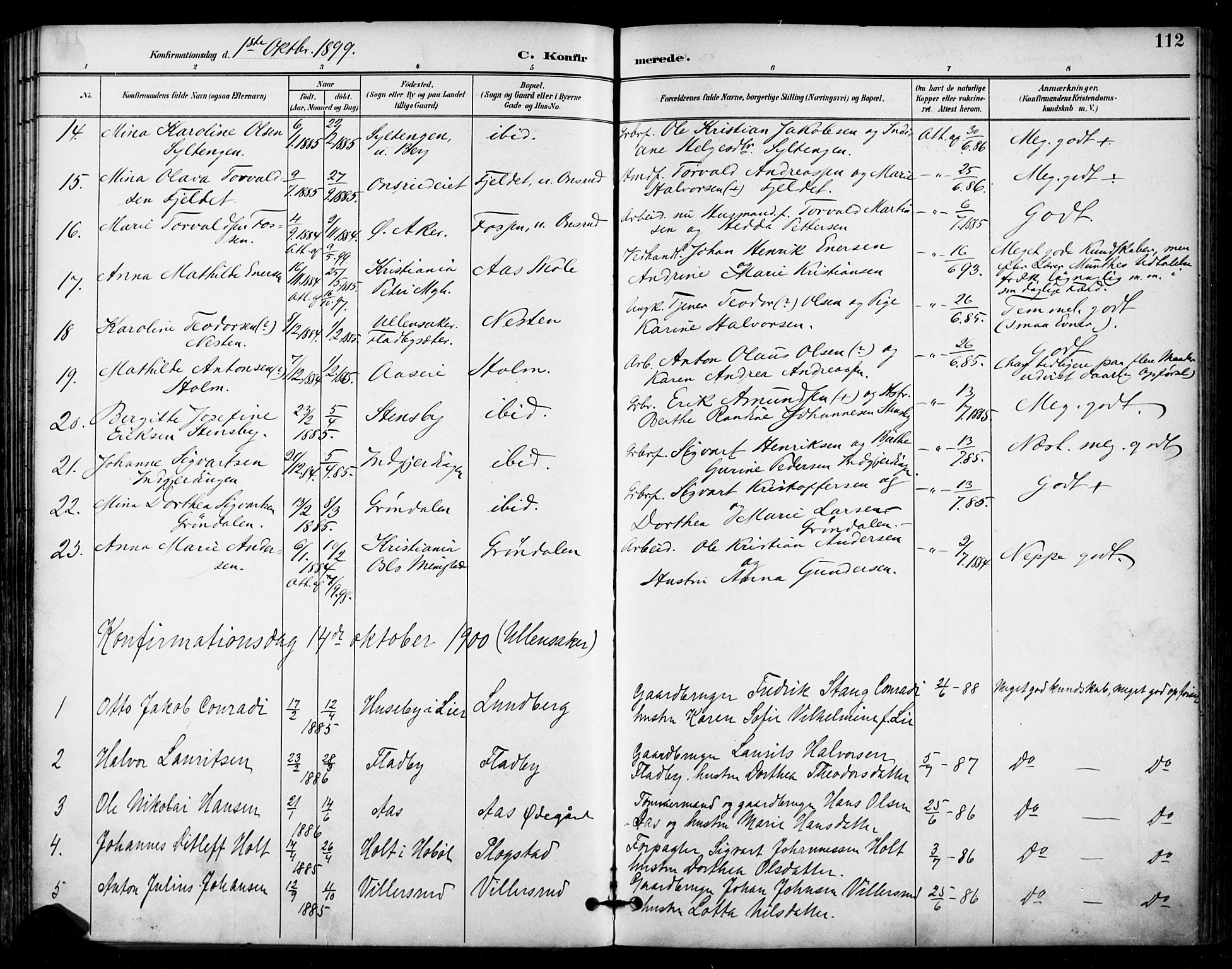 Ullensaker prestekontor Kirkebøker, AV/SAO-A-10236a/F/Fa/L0020: Parish register (official) no. I 20, 1892-1902, p. 112