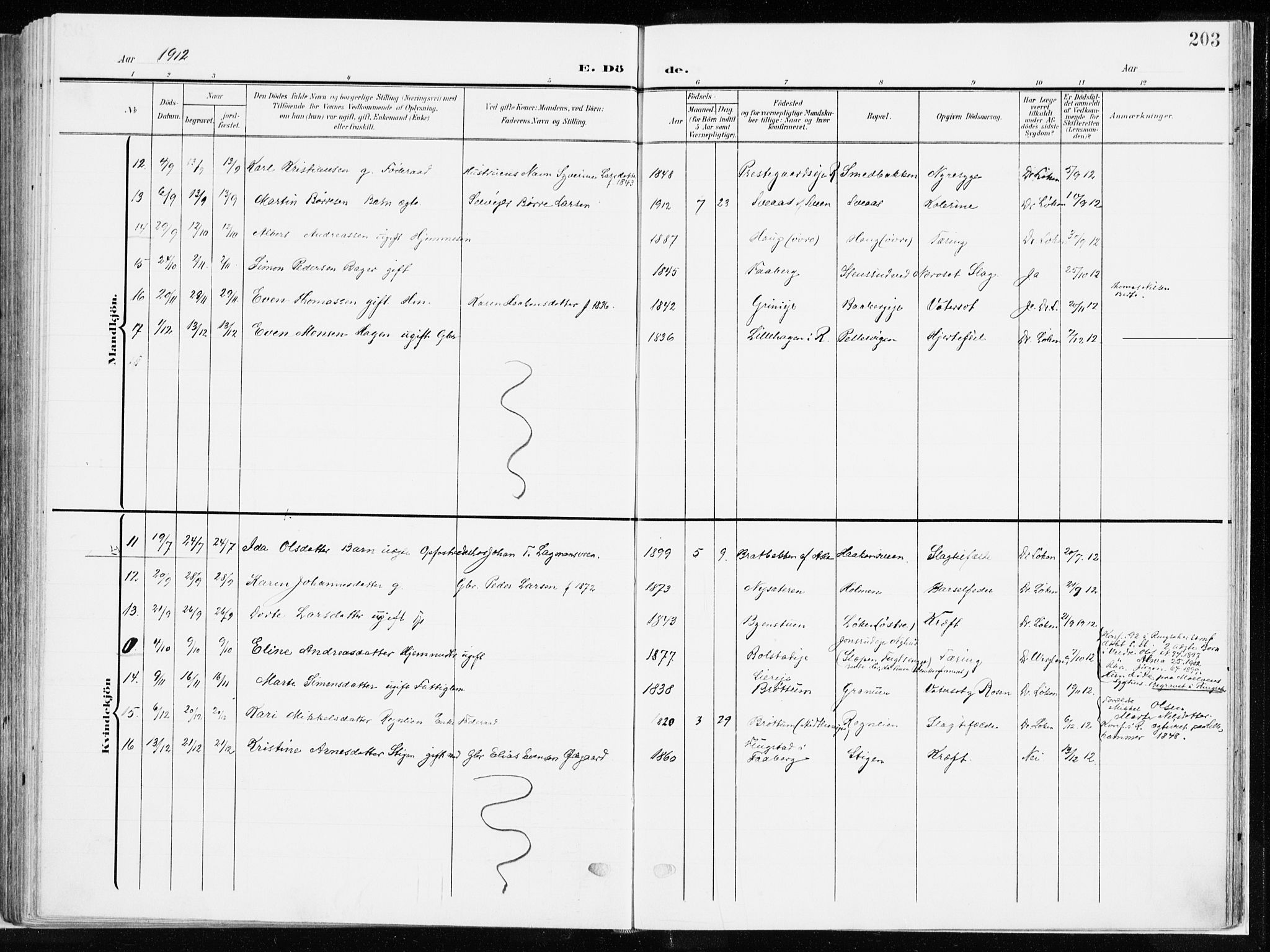 Ringsaker prestekontor, SAH/PREST-014/K/Ka/L0019: Parish register (official) no. 19, 1905-1920, p. 203