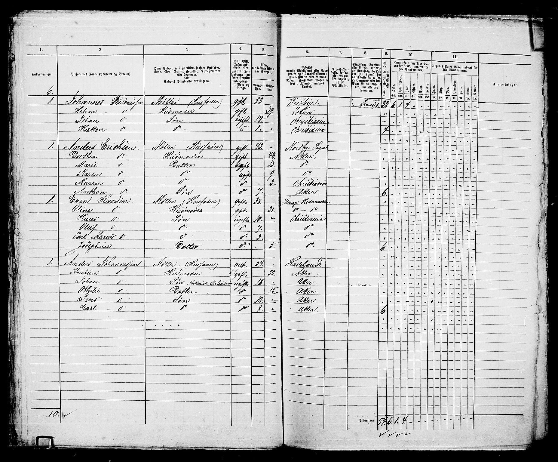 RA, 1865 census for Kristiania, 1865, p. 4463