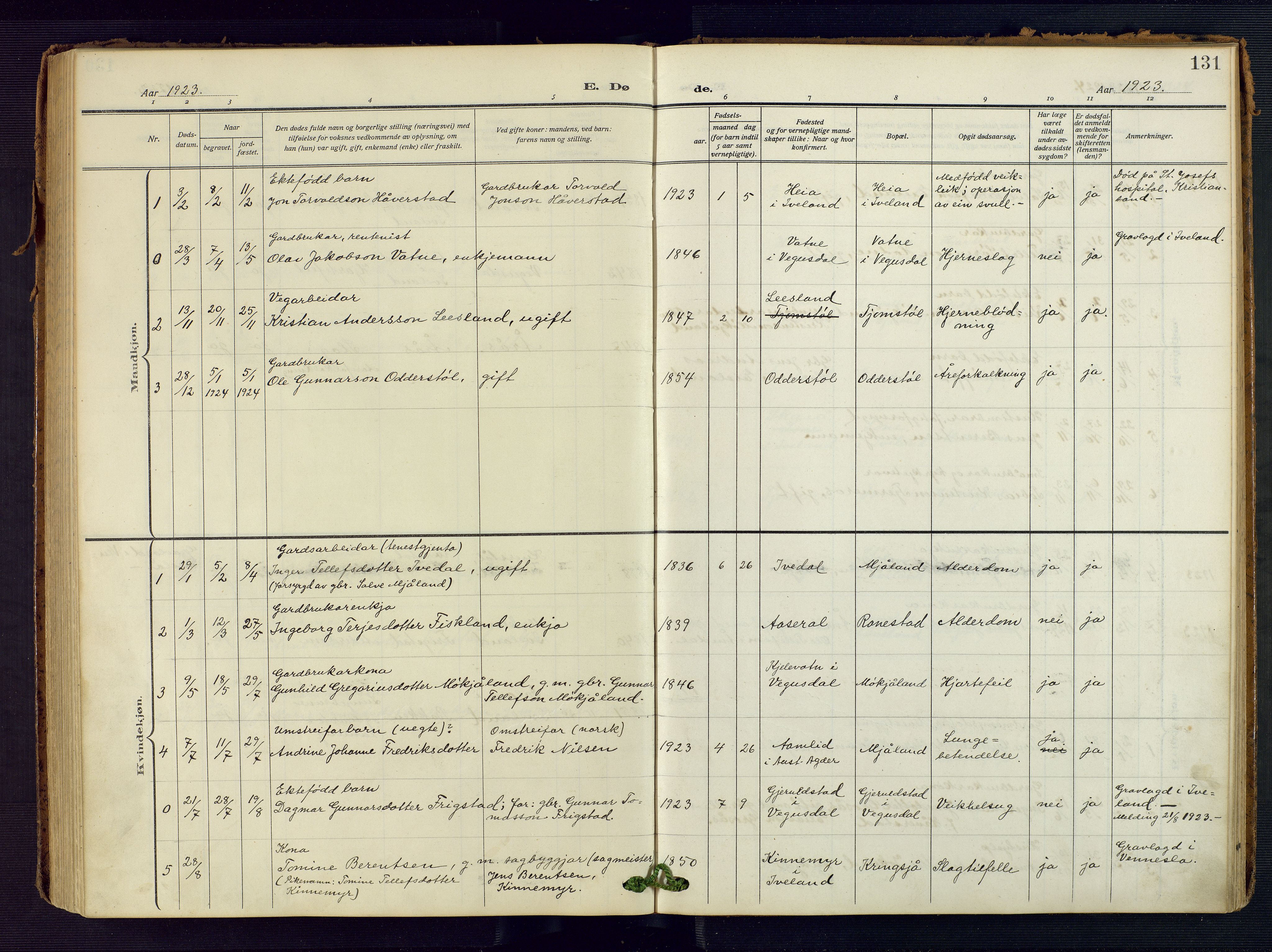 Evje sokneprestkontor, AV/SAK-1111-0008/F/Fa/Fac/L0004: Parish register (official) no. A 4, 1910-1932, p. 131