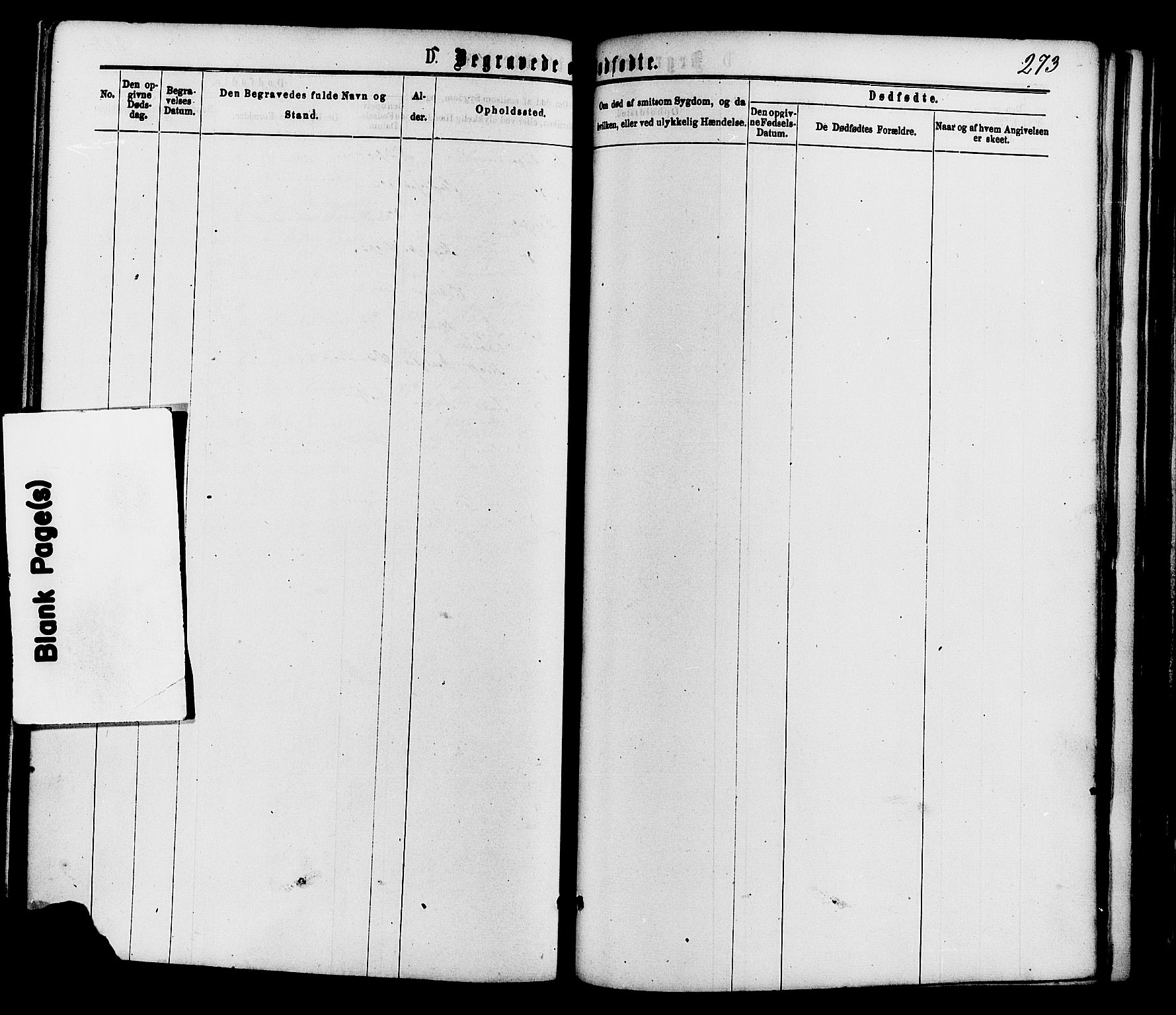Nordre Land prestekontor, SAH/PREST-124/H/Ha/Haa/L0002: Parish register (official) no. 2, 1872-1881, p. 273