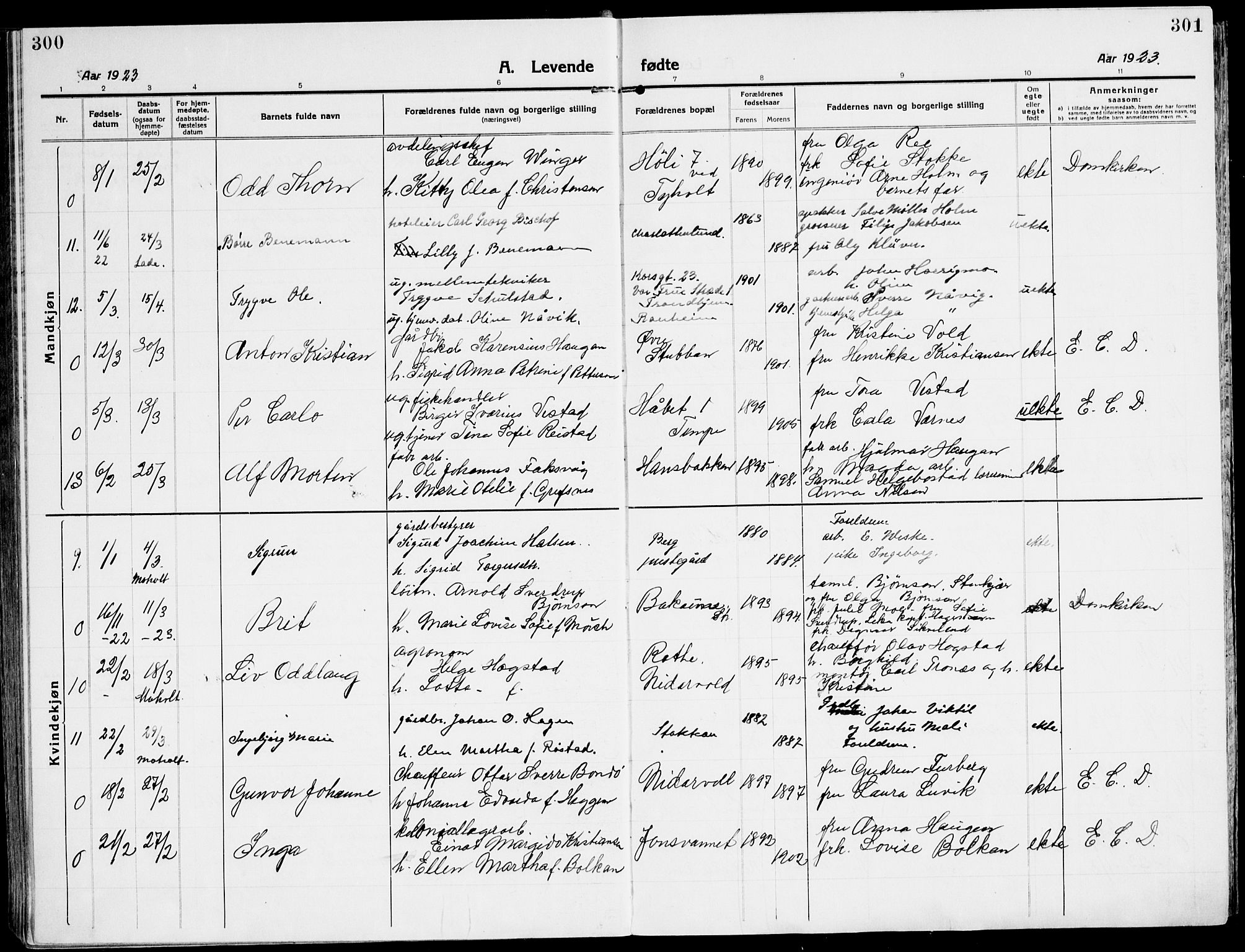 Ministerialprotokoller, klokkerbøker og fødselsregistre - Sør-Trøndelag, SAT/A-1456/607/L0321: Parish register (official) no. 607A05, 1916-1935, p. 300-301