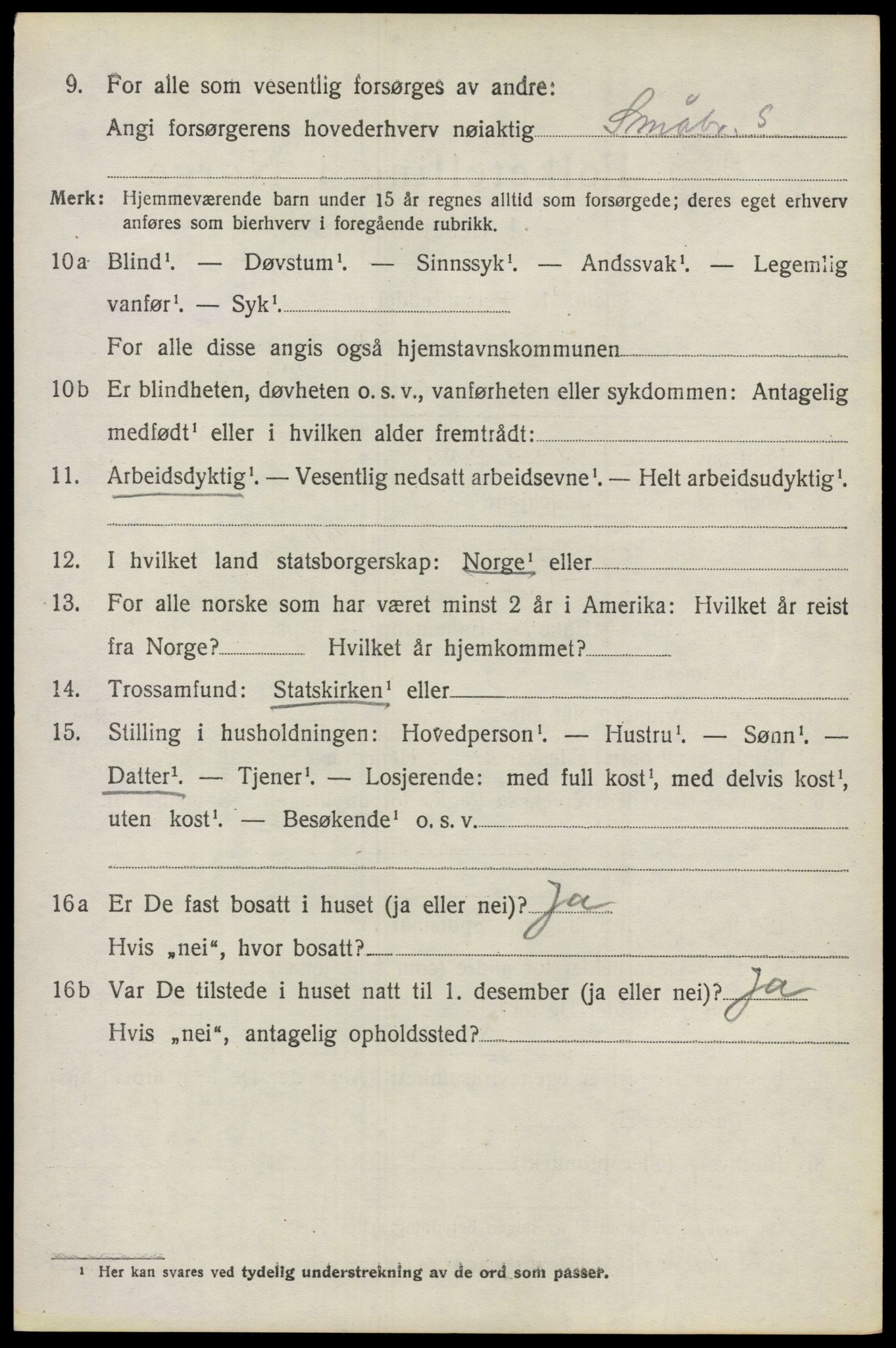 SAO, 1920 census for Nes, 1920, p. 7627