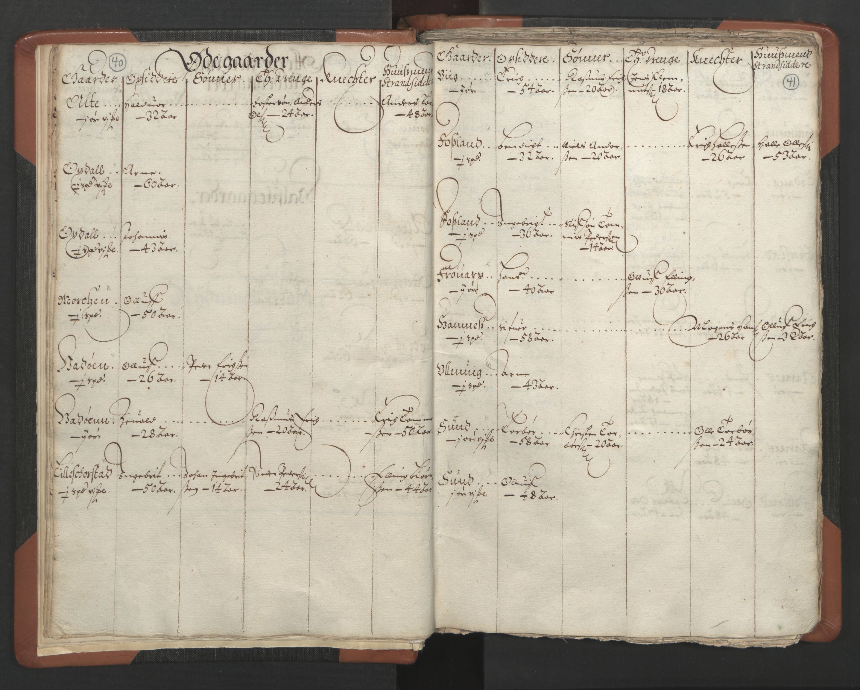 RA, Vicar's Census 1664-1666, no. 34: Namdal deanery, 1664-1666, p. 40-41