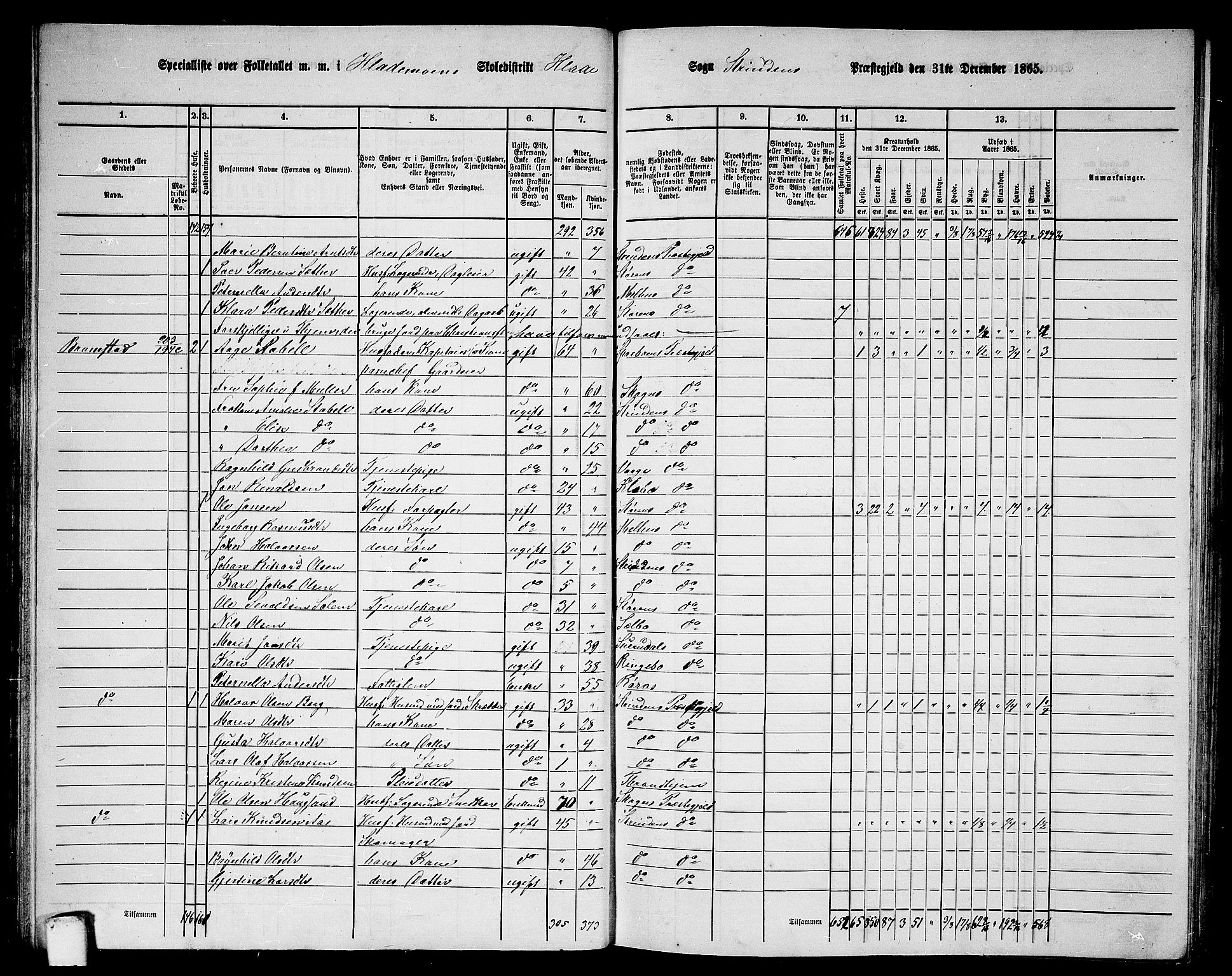 RA, 1865 census for Strinda, 1865, p. 41