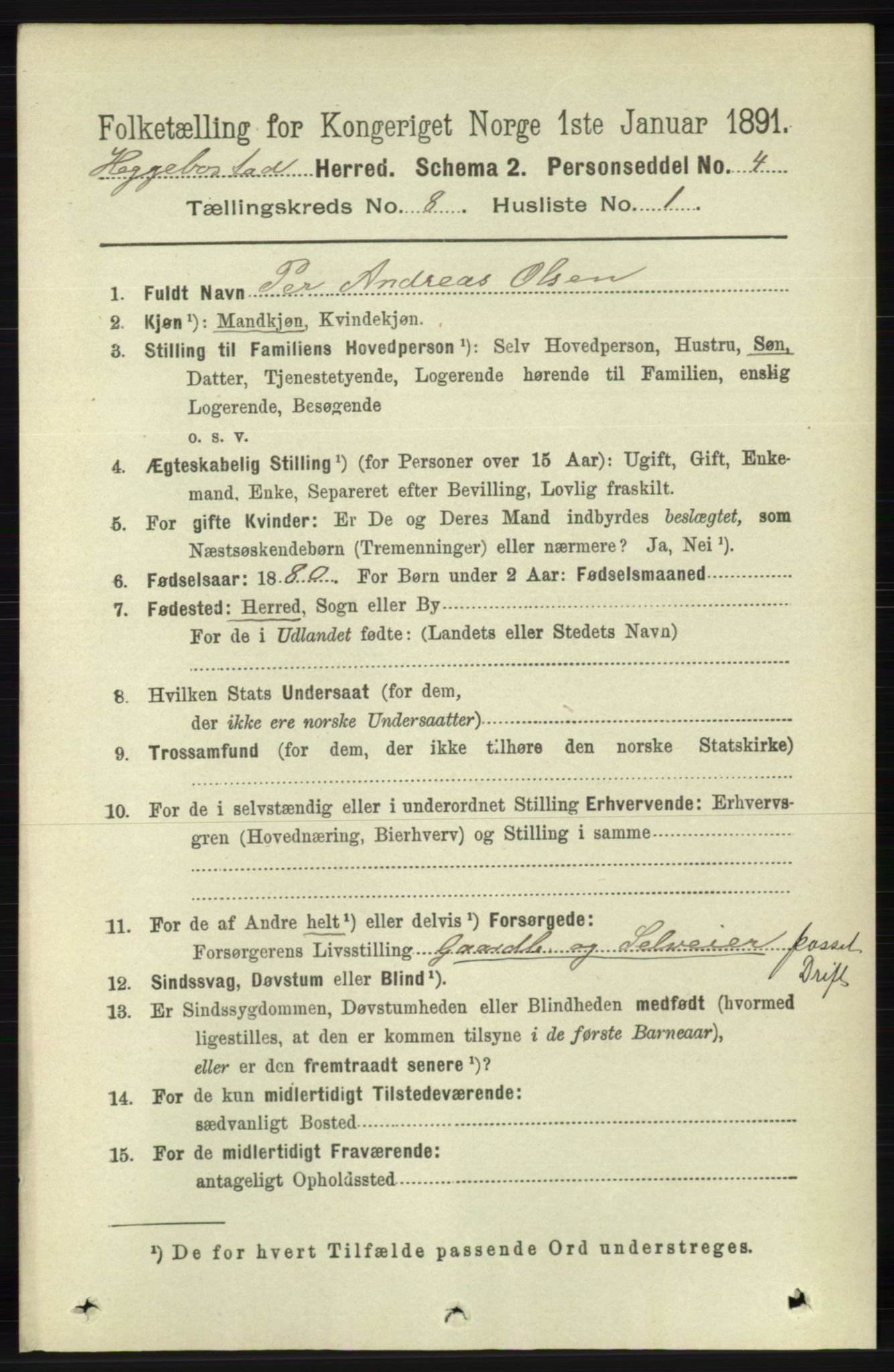 RA, 1891 census for 1034 Hægebostad, 1891, p. 2468