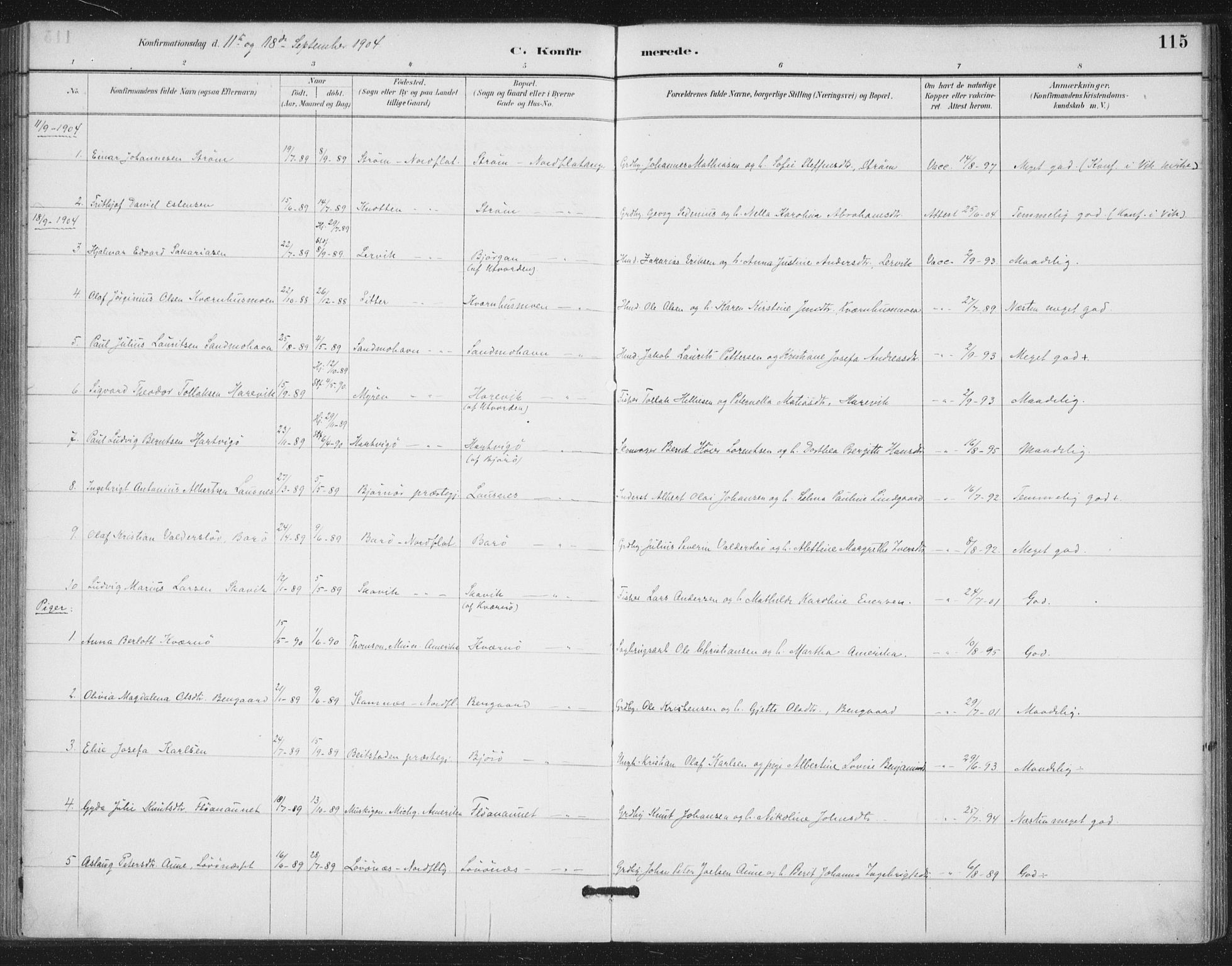 Ministerialprotokoller, klokkerbøker og fødselsregistre - Nord-Trøndelag, AV/SAT-A-1458/772/L0603: Parish register (official) no. 772A01, 1885-1912, p. 115