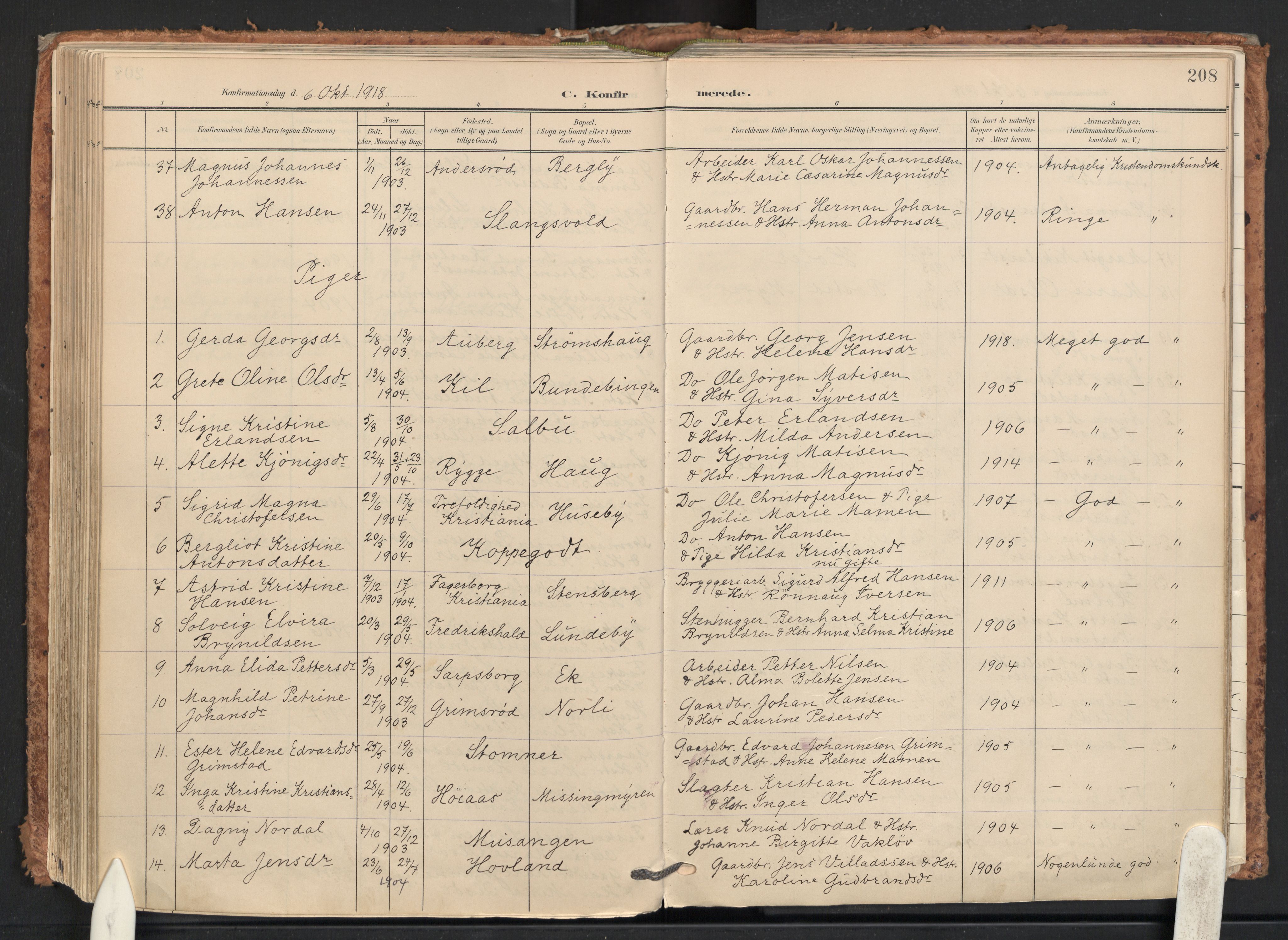 Råde prestekontor kirkebøker, AV/SAO-A-2009/F/Fa/L0008: Parish register (official) no. 8, 1903-1924, p. 208