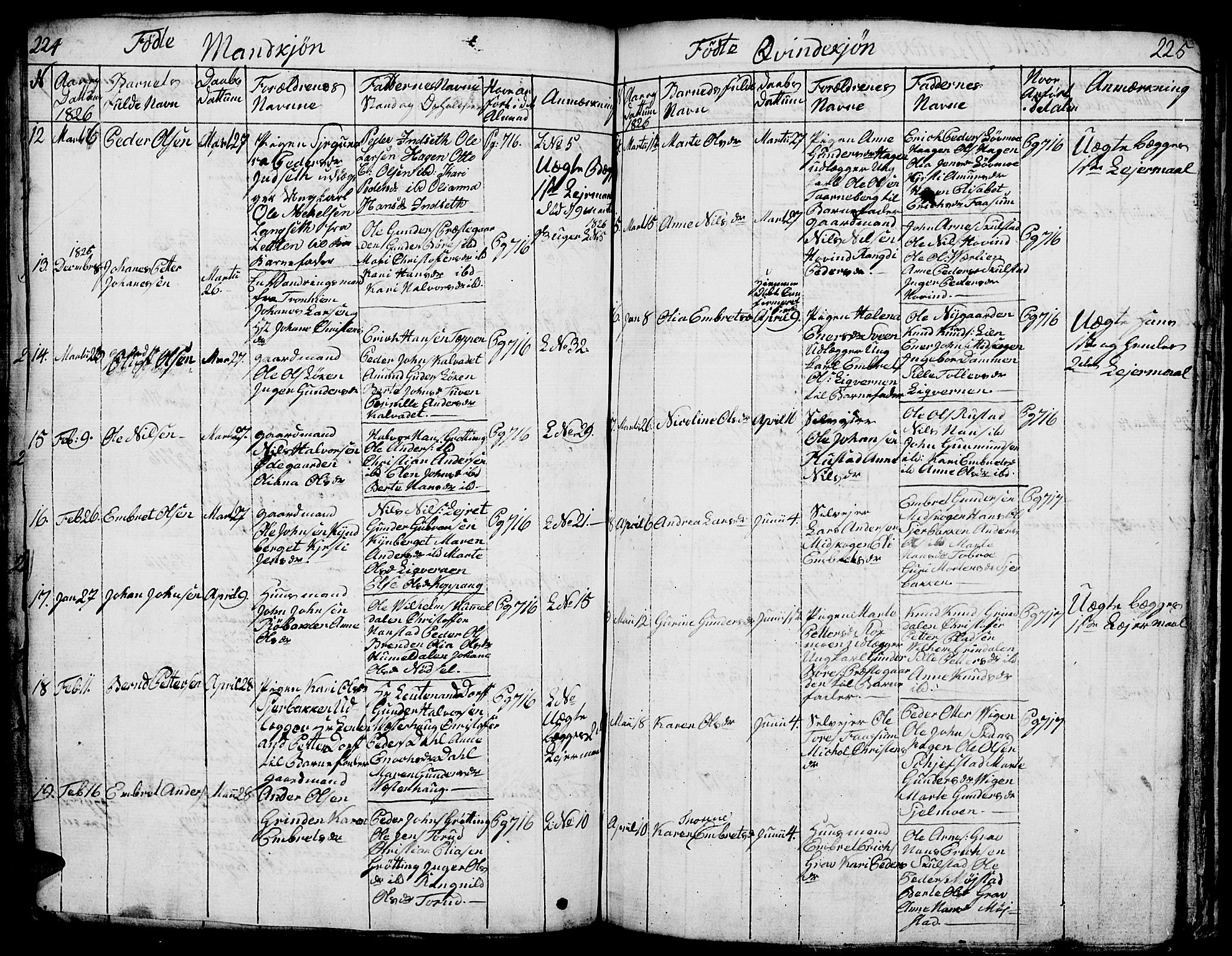 Elverum prestekontor, AV/SAH-PREST-044/H/Ha/Hab/L0001: Parish register (copy) no. 1, 1815-1829, p. 224-225