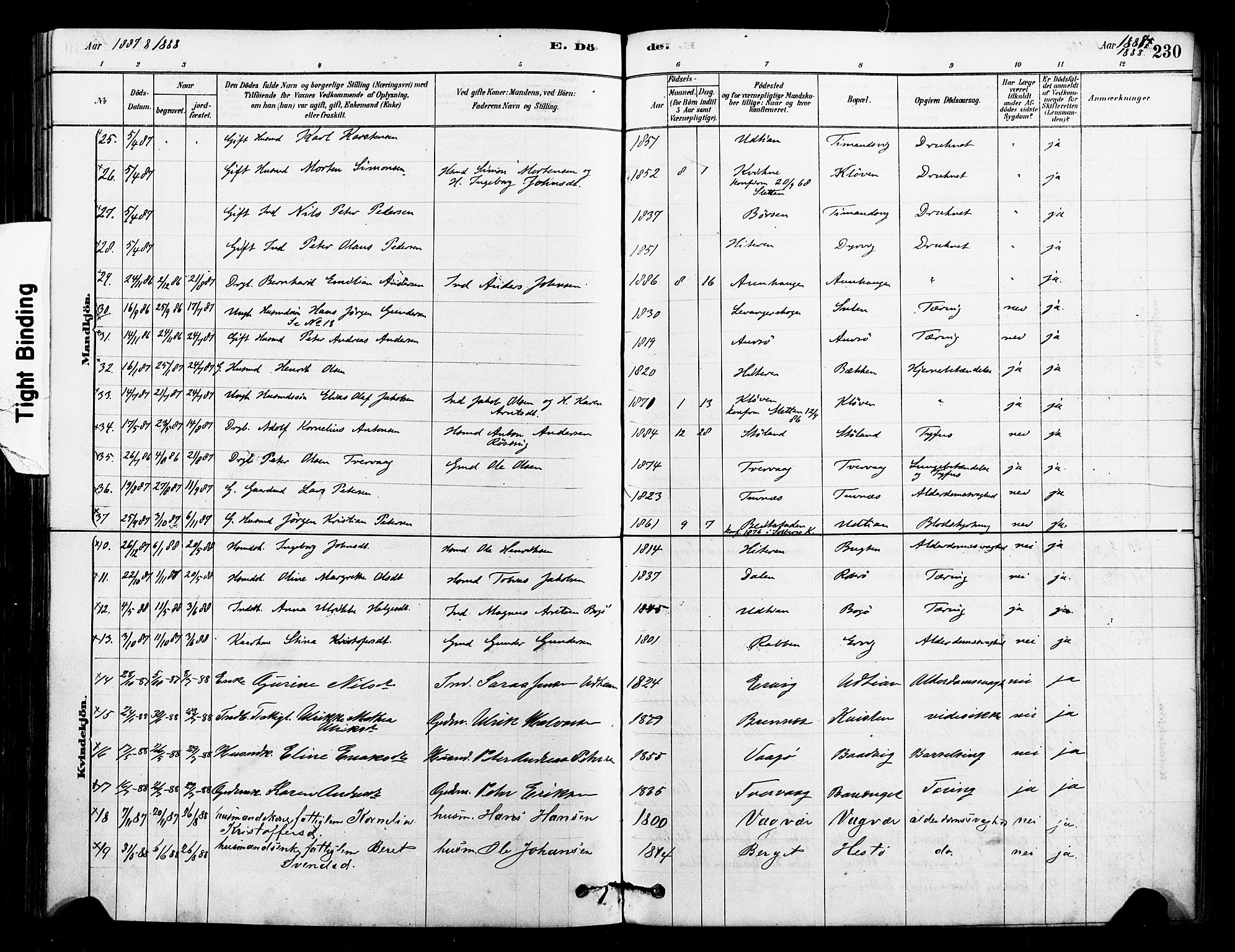 Ministerialprotokoller, klokkerbøker og fødselsregistre - Sør-Trøndelag, SAT/A-1456/640/L0578: Parish register (official) no. 640A03, 1879-1889, p. 230