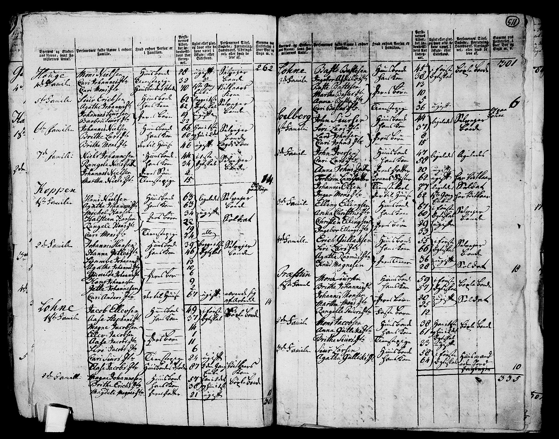 RA, 1801 census for 1250P Haus, 1801, p. 510b-511a