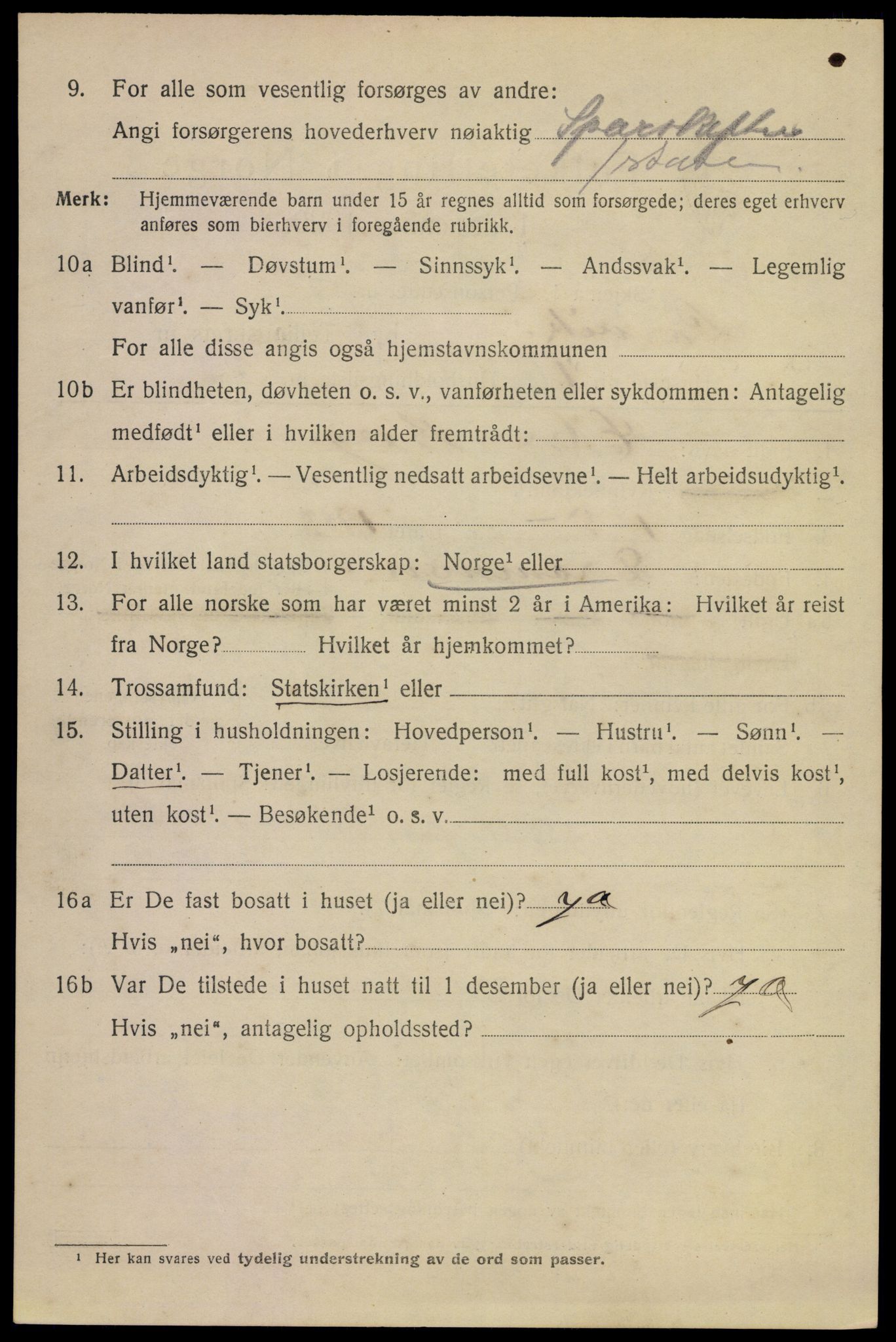 SAKO, 1920 census for Larvik, 1920, p. 16531