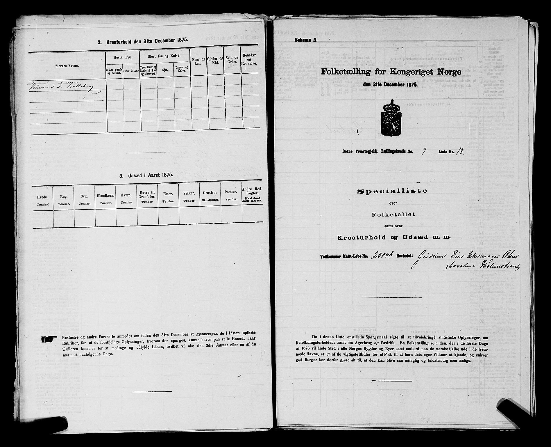 SAKO, 1875 census for 0715P Botne, 1875, p. 705