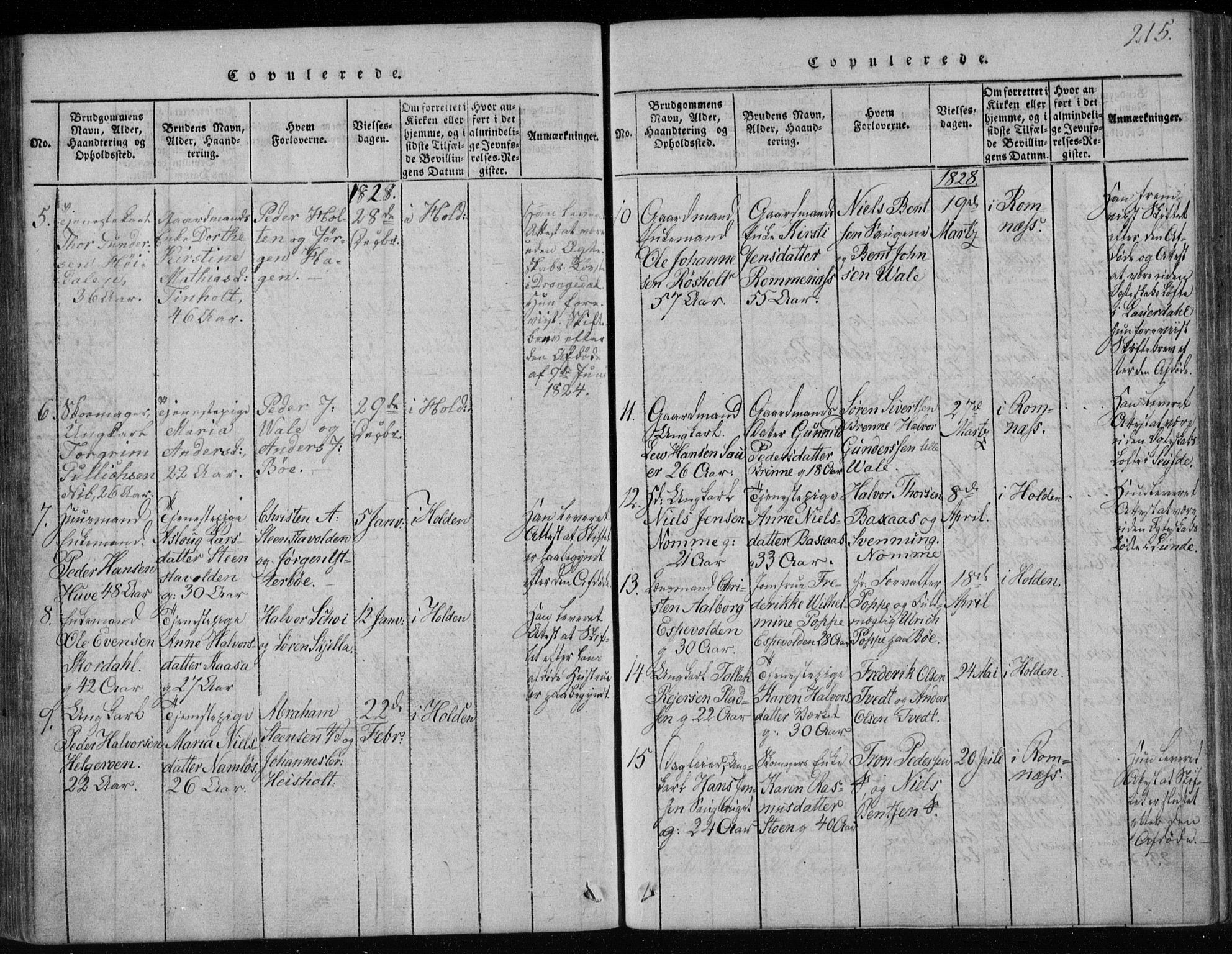 Holla kirkebøker, AV/SAKO-A-272/F/Fa/L0003: Parish register (official) no. 3, 1815-1830, p. 215