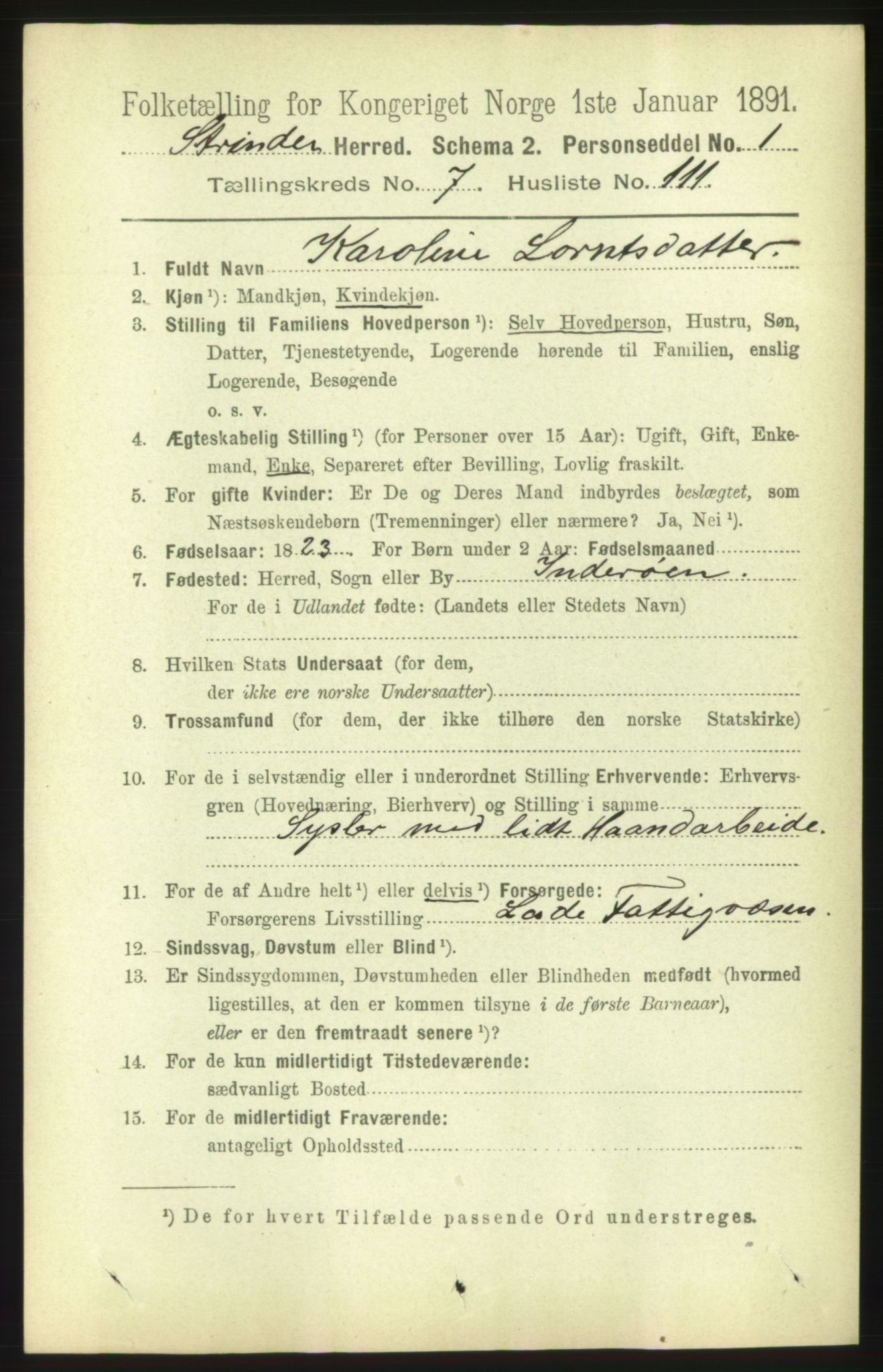 RA, 1891 census for 1660 Strinda, 1891, p. 6965