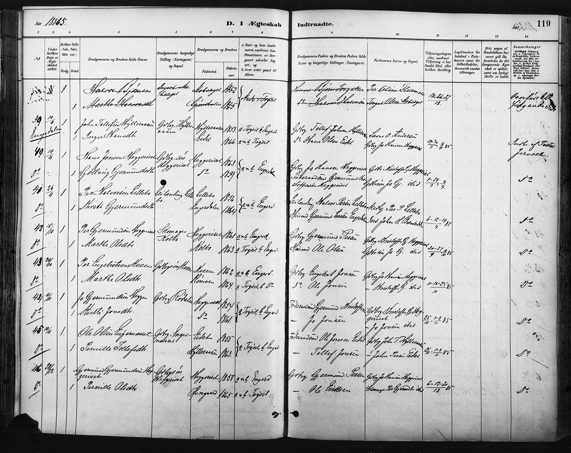 Trysil prestekontor, AV/SAH-PREST-046/H/Ha/Haa/L0009: Parish register (official) no. 9, 1881-1897, p. 119