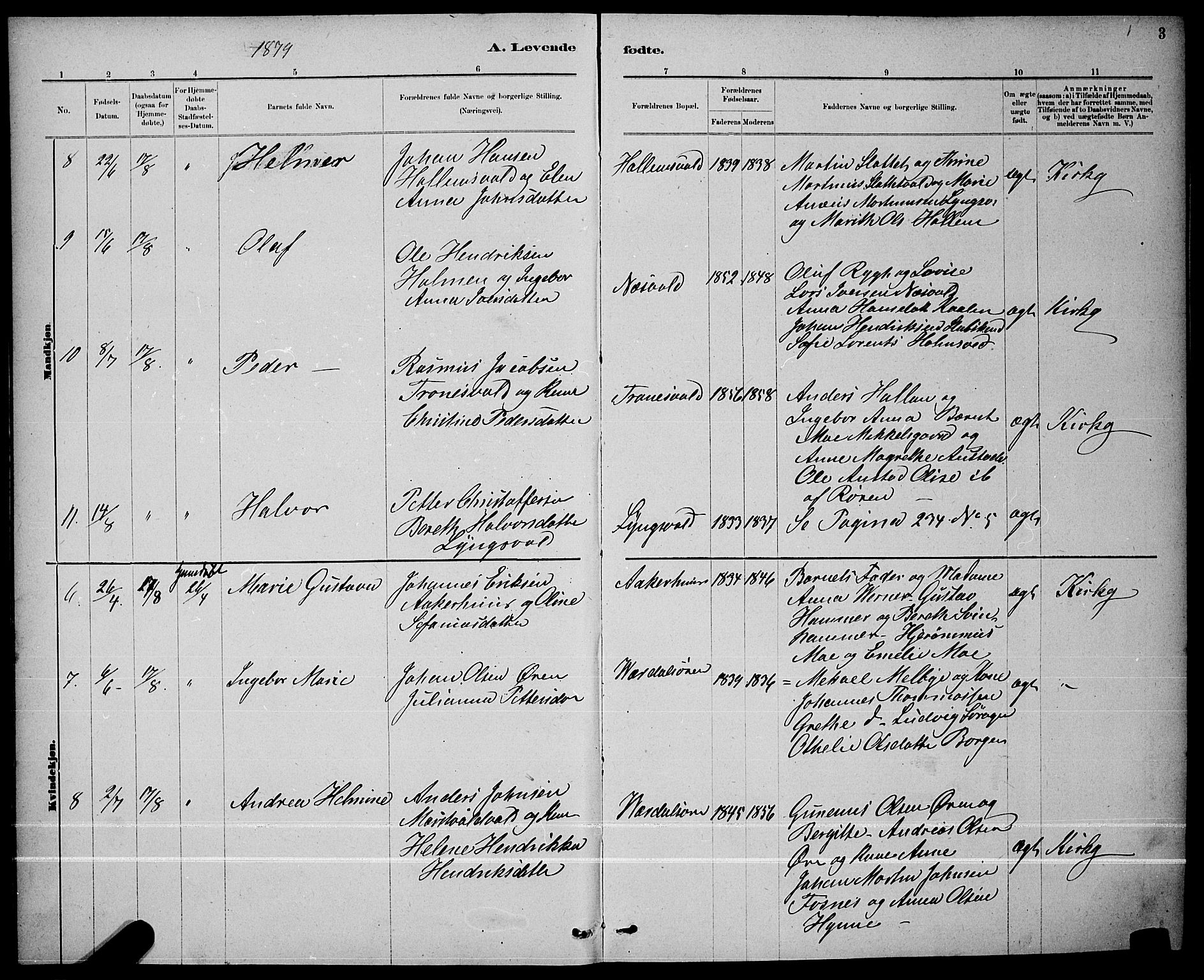 Ministerialprotokoller, klokkerbøker og fødselsregistre - Nord-Trøndelag, AV/SAT-A-1458/723/L0256: Parish register (copy) no. 723C04, 1879-1890, p. 3