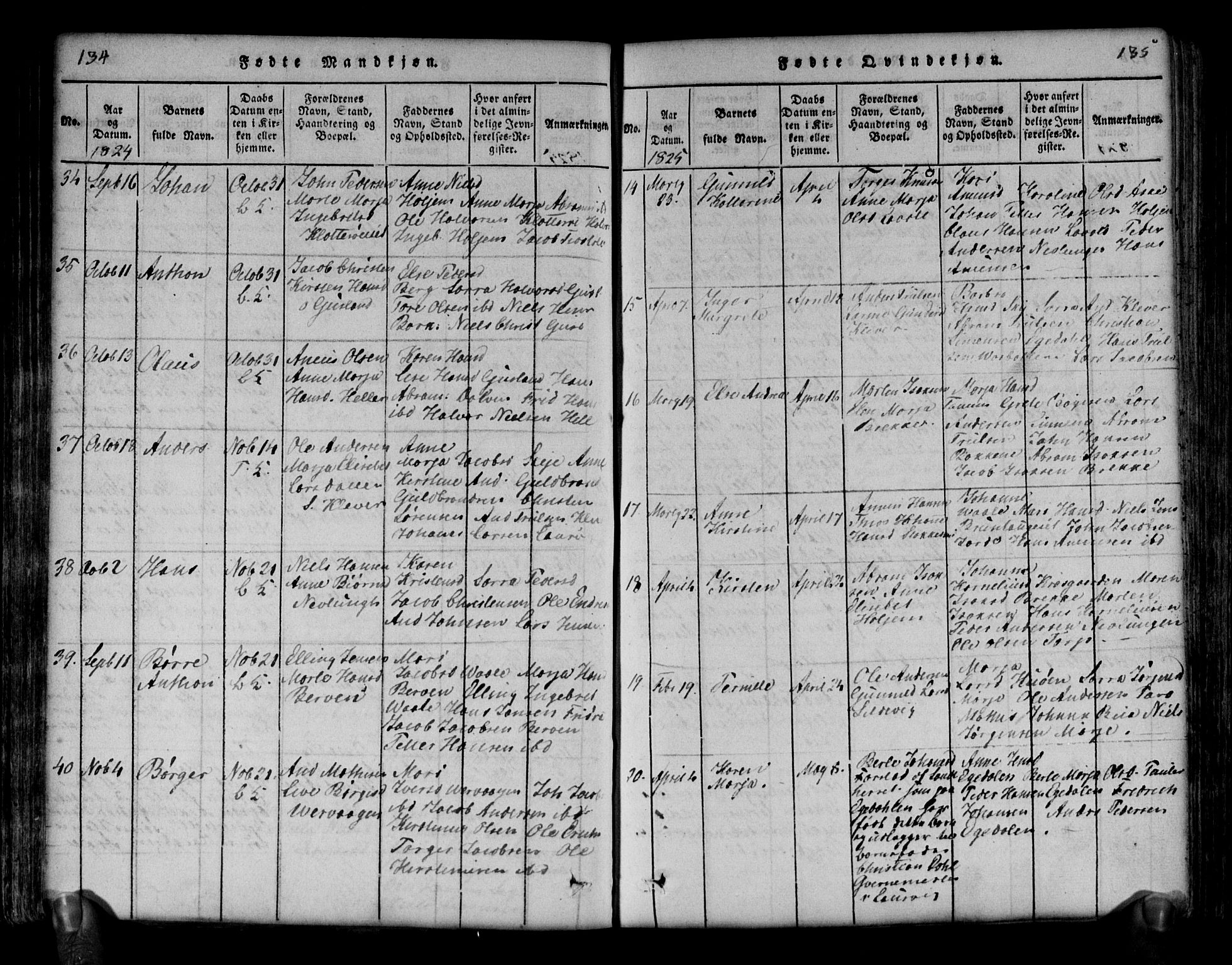 Brunlanes kirkebøker, AV/SAKO-A-342/G/Ga/L0001: Parish register (copy) no. I 1, 1814-1834, p. 134-135