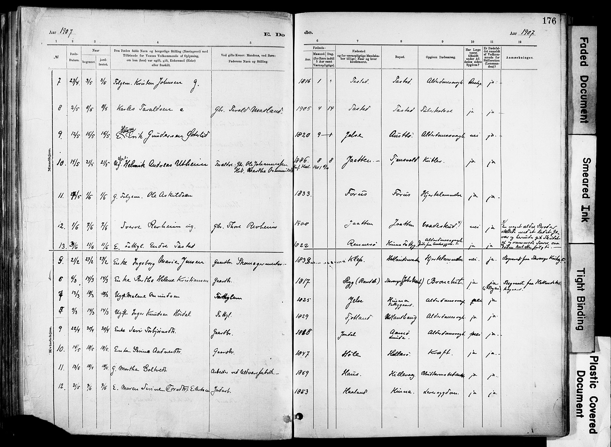Hetland sokneprestkontor, SAST/A-101826/30/30BA/L0012: Parish register (official) no. A 12, 1882-1912, p. 176