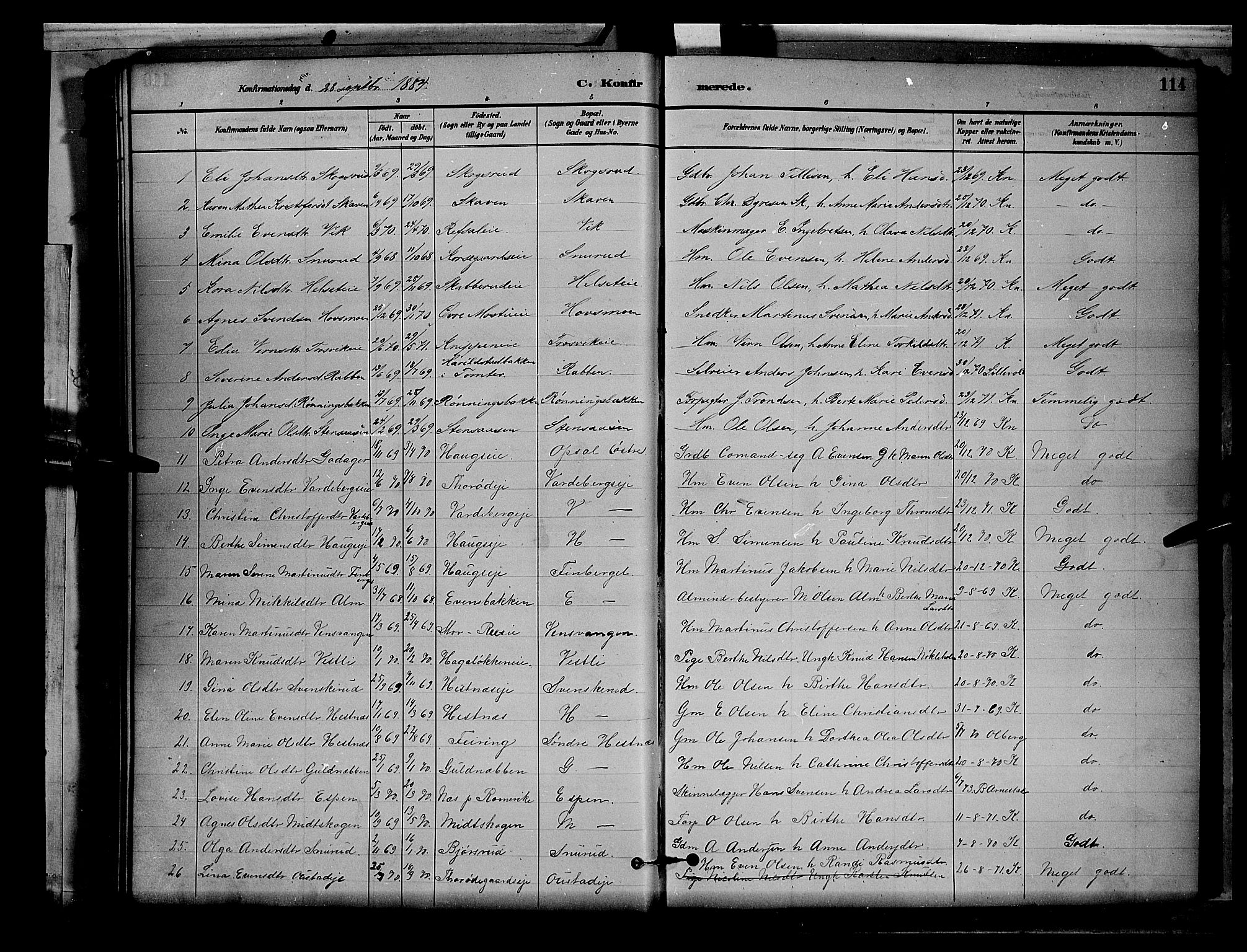 Stange prestekontor, AV/SAH-PREST-002/L/L0008: Parish register (copy) no. 8, 1882-1895, p. 114