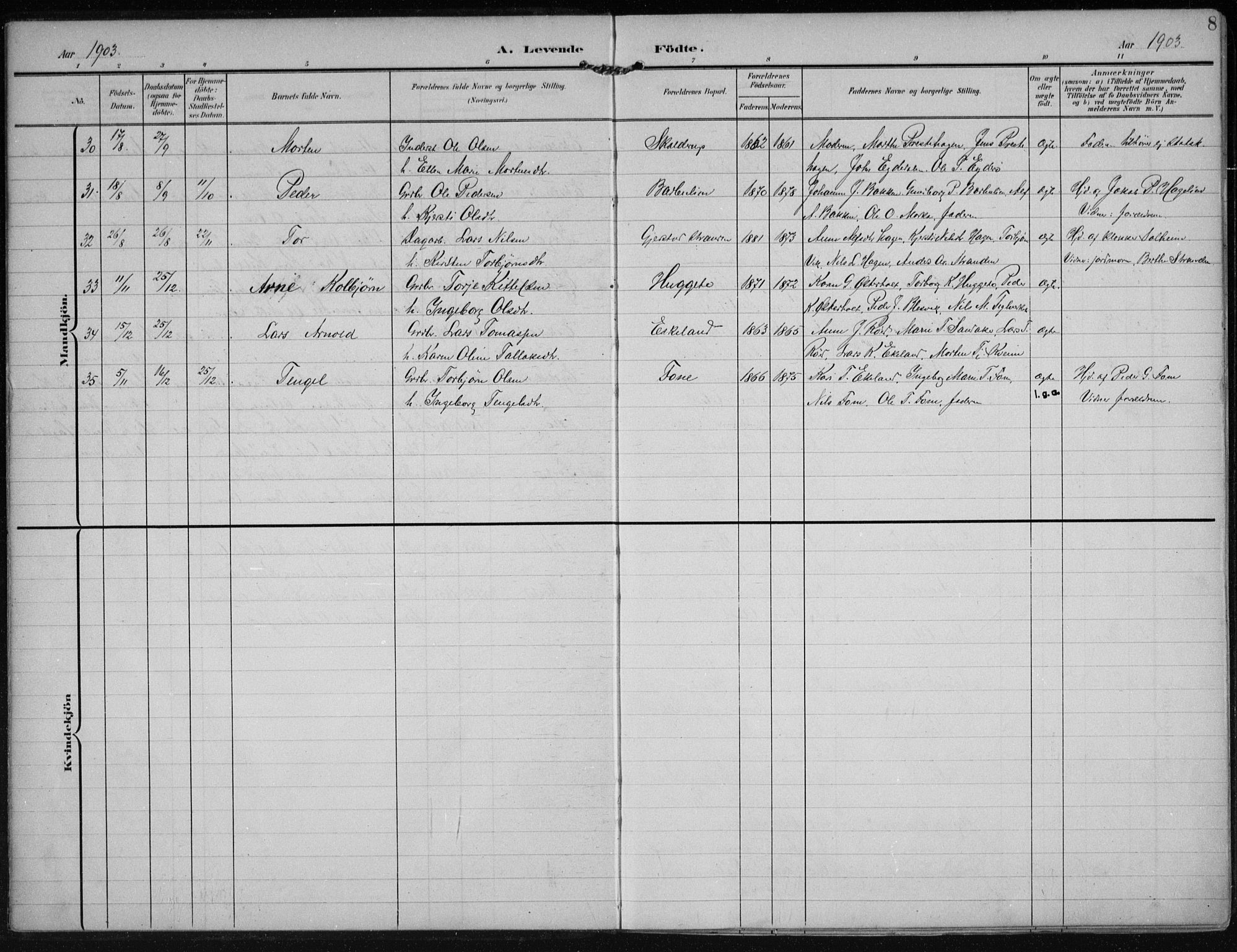 Gjerstad sokneprestkontor, AV/SAK-1111-0014/F/Fa/Faa/L0011: Parish register (official) no. A 11, 1903-1914, p. 8