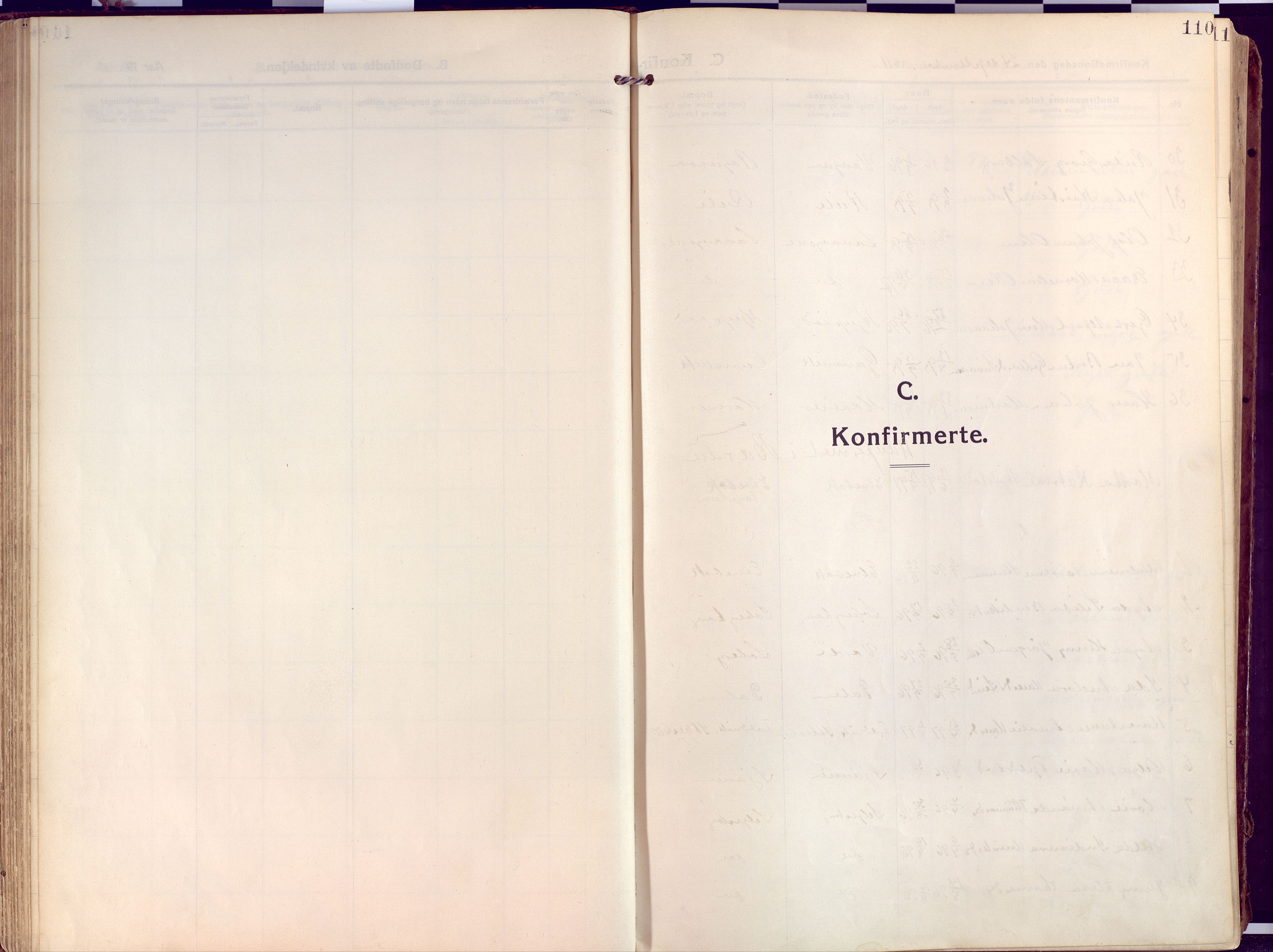 Salangen sokneprestembete, SATØ/S-1324/H/Ha/L0004kirke: Parish register (official) no. 4, 1912-1927, p. 110