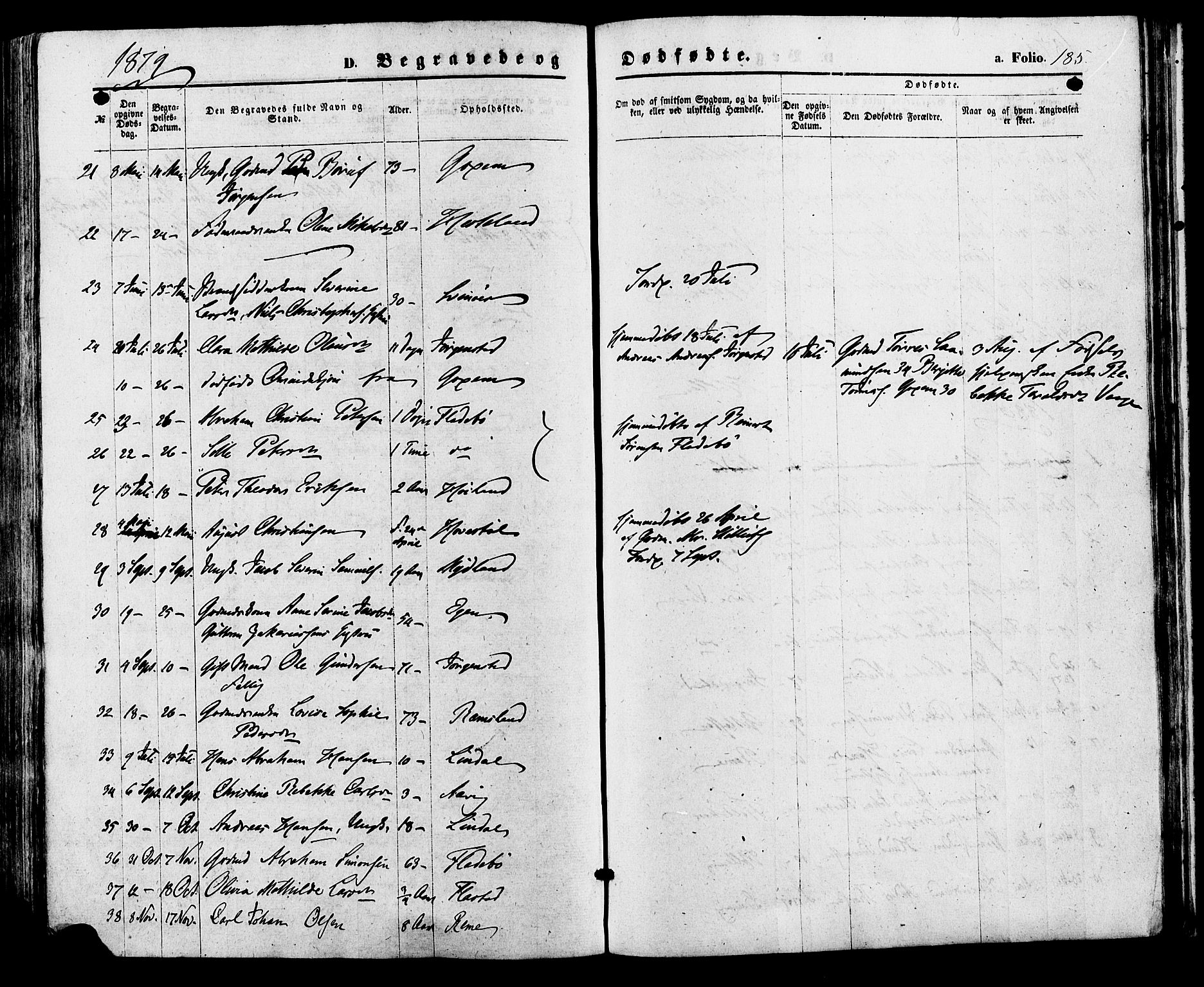 Sør-Audnedal sokneprestkontor, AV/SAK-1111-0039/F/Fa/Faa/L0003: Parish register (official) no. A 3, 1868-1883, p. 185