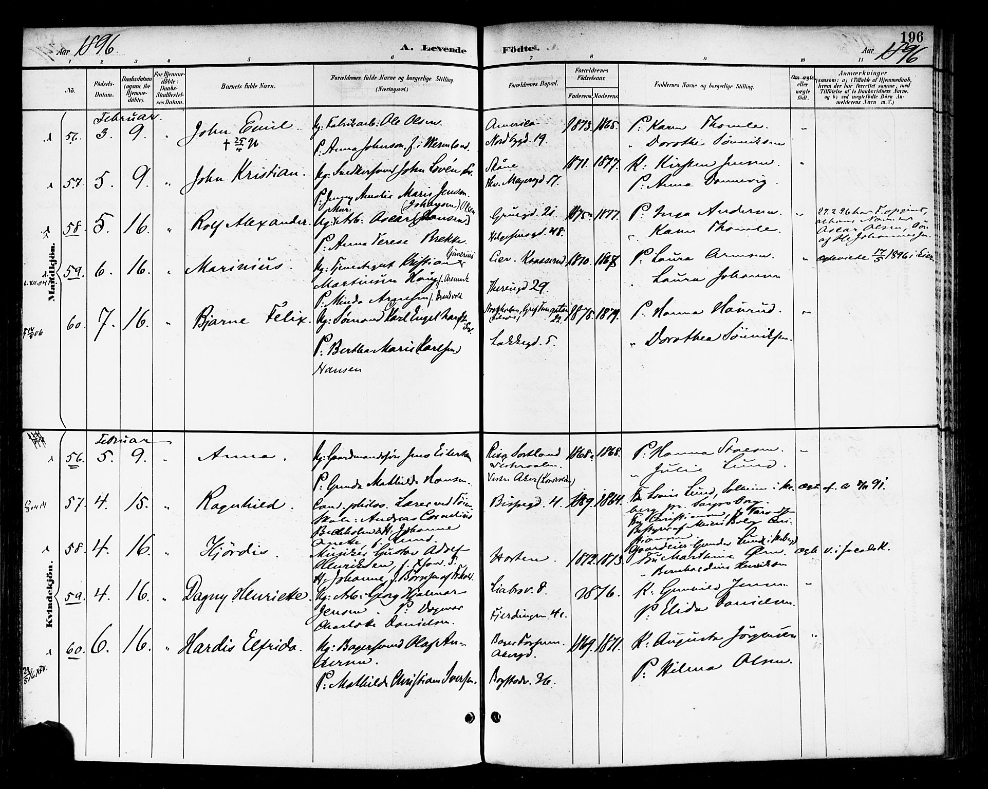 Rikshospitalet prestekontor Kirkebøker, SAO/A-10309b/F/L0009: Parish register (official) no. 9, 1894-1897, p. 196