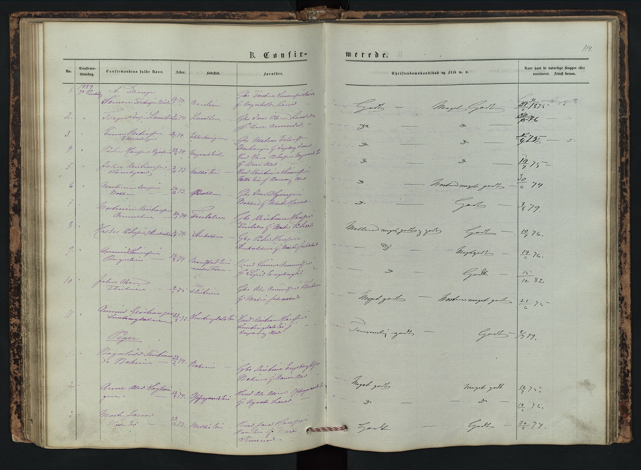 Vestre Gausdal prestekontor, SAH/PREST-094/H/Ha/Hab/L0002: Parish register (copy) no. 2, 1874-1897, p. 114
