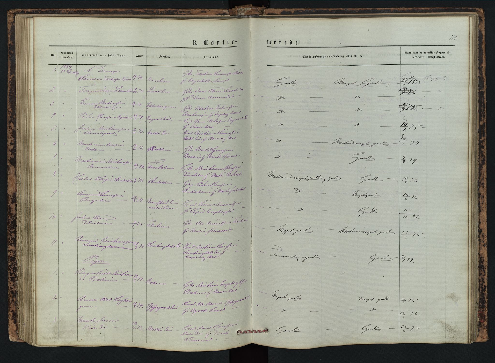 Vestre Gausdal prestekontor, AV/SAH-PREST-094/H/Ha/Hab/L0002: Parish register (copy) no. 2, 1874-1897, p. 114