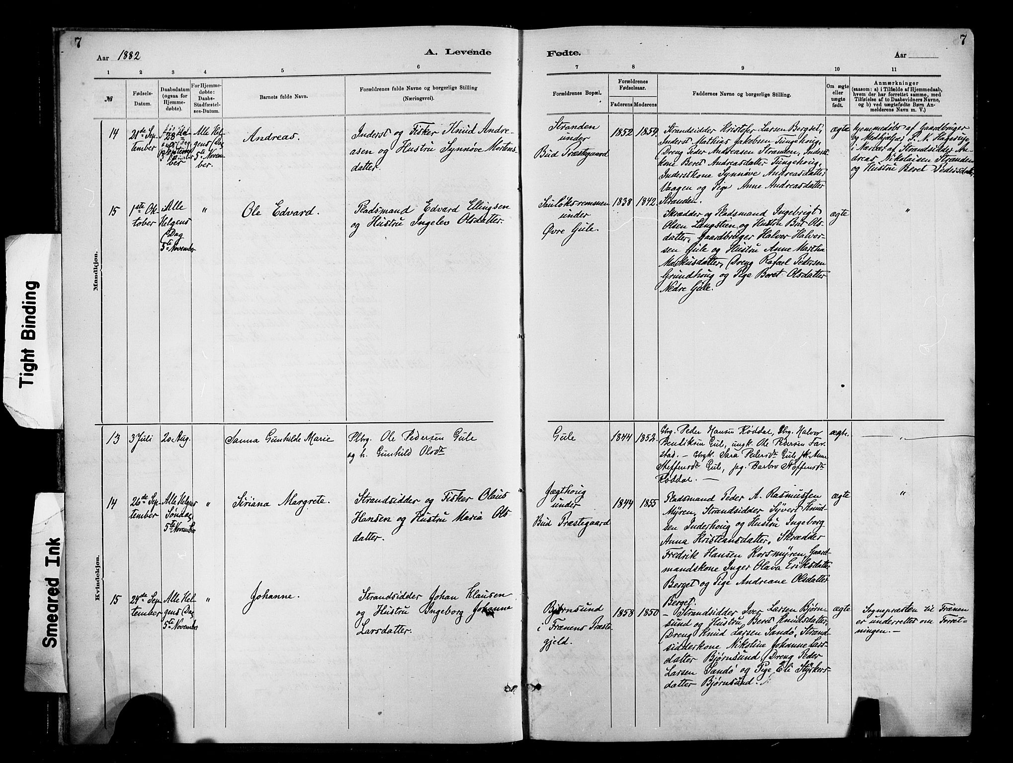 Ministerialprotokoller, klokkerbøker og fødselsregistre - Møre og Romsdal, AV/SAT-A-1454/566/L0769: Parish register (official) no. 566A08, 1881-1903, p. 7