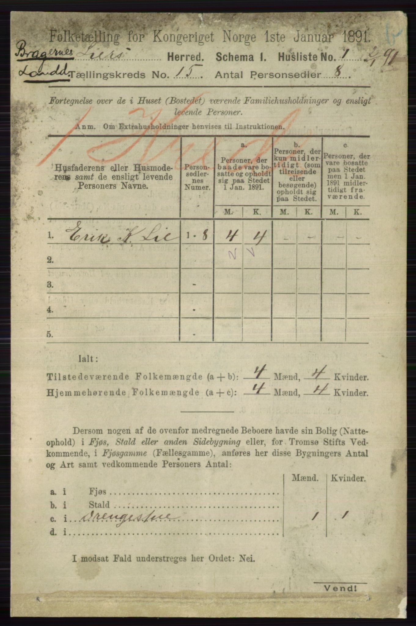 RA, 1891 census for 0626 Lier, 1891, p. 8620