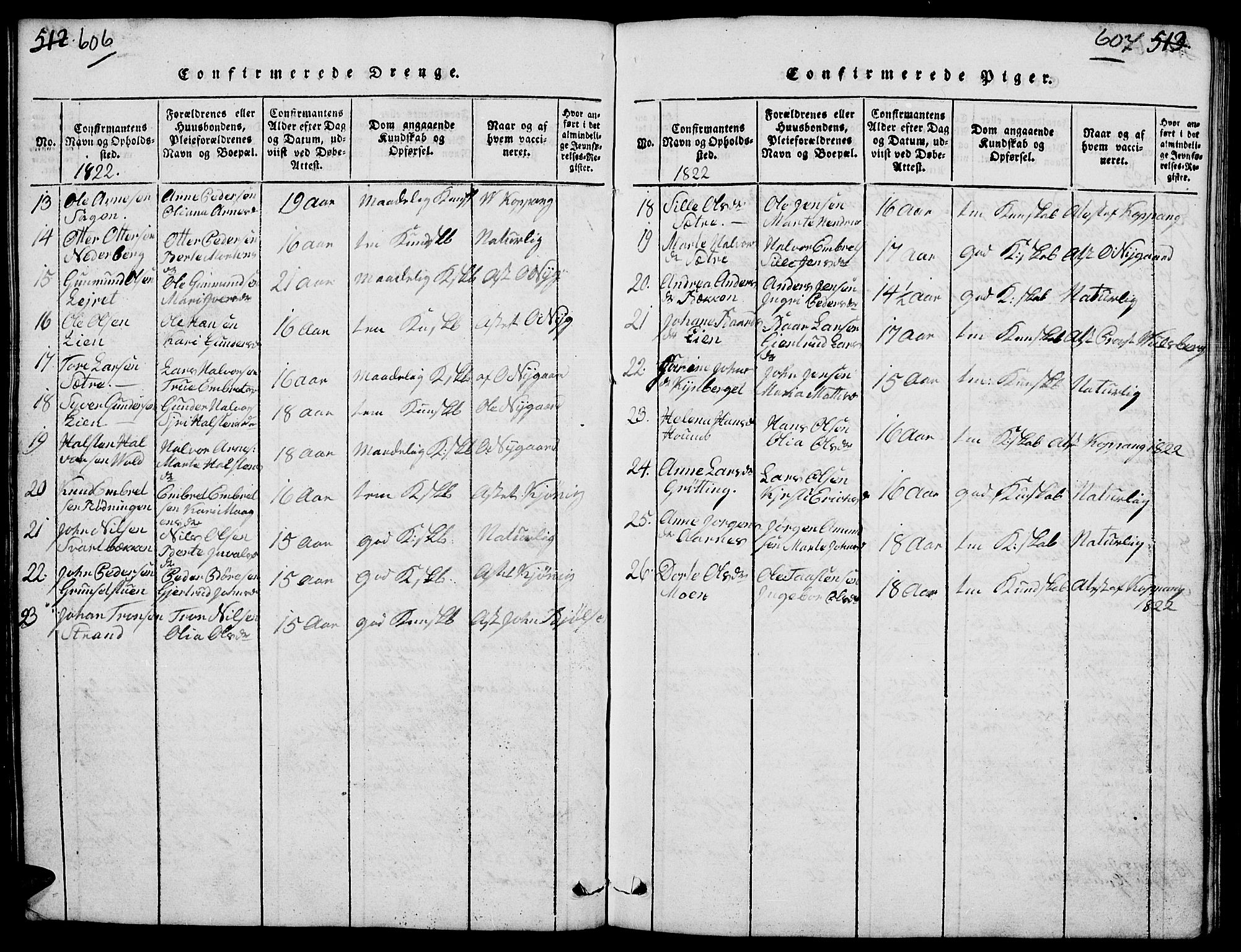 Elverum prestekontor, SAH/PREST-044/H/Ha/Hab/L0001: Parish register (copy) no. 1, 1815-1829, p. 606-607