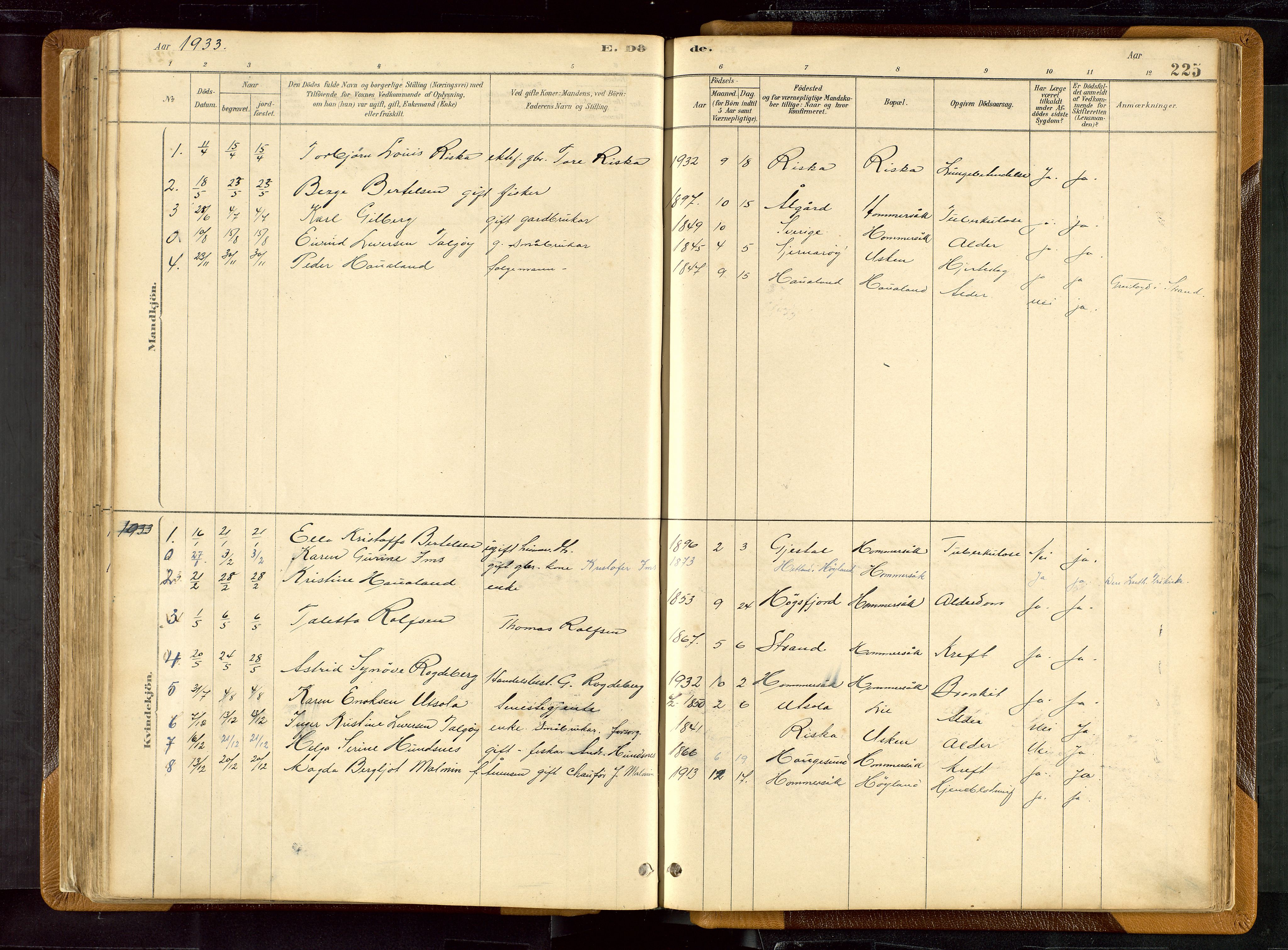 Hetland sokneprestkontor, SAST/A-101826/30/30BB/L0007: Parish register (copy) no. B 7, 1878-1910, p. 225