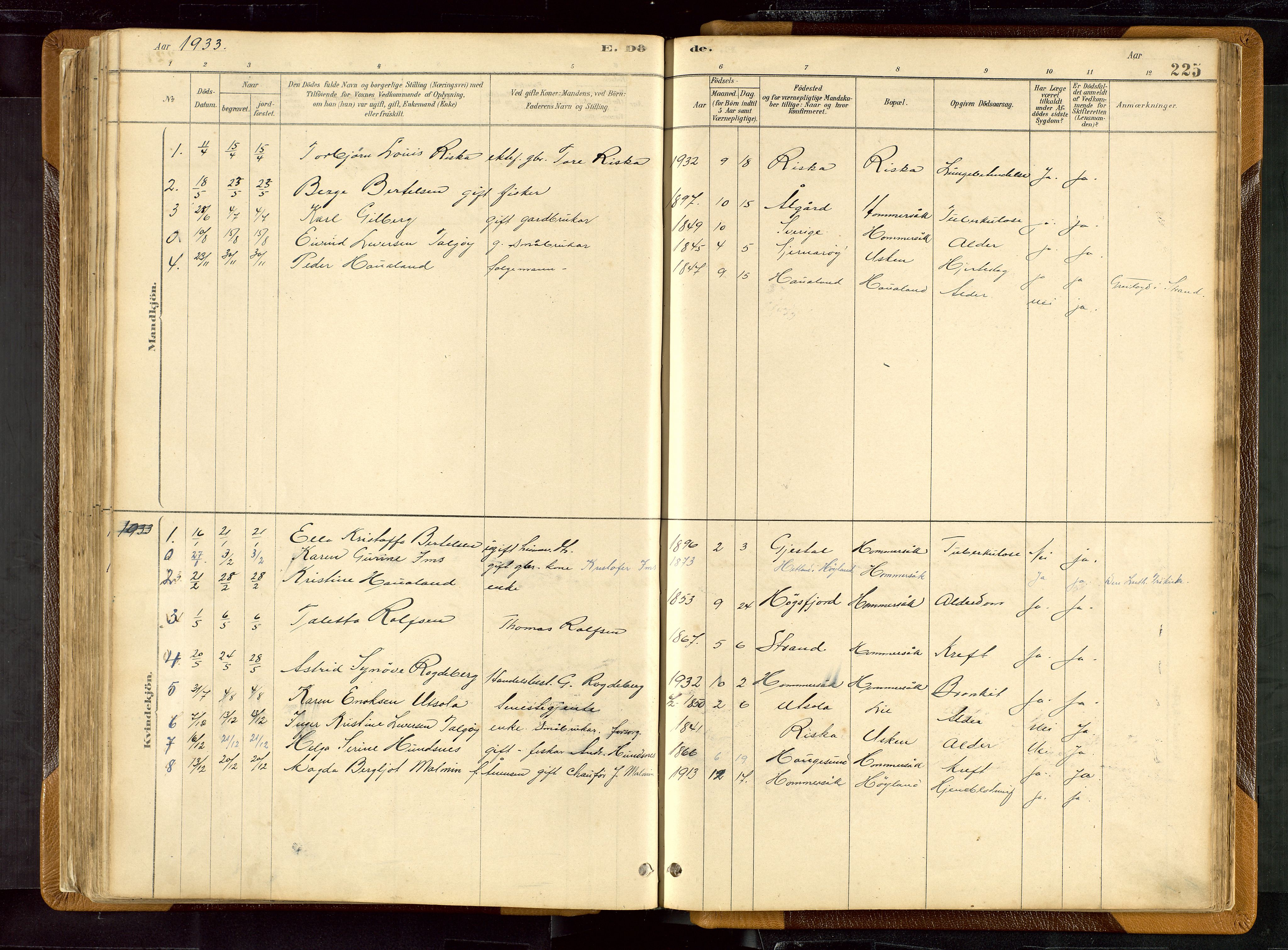 Hetland sokneprestkontor, AV/SAST-A-101826/30/30BB/L0007: Parish register (copy) no. B 7, 1878-1910, p. 225