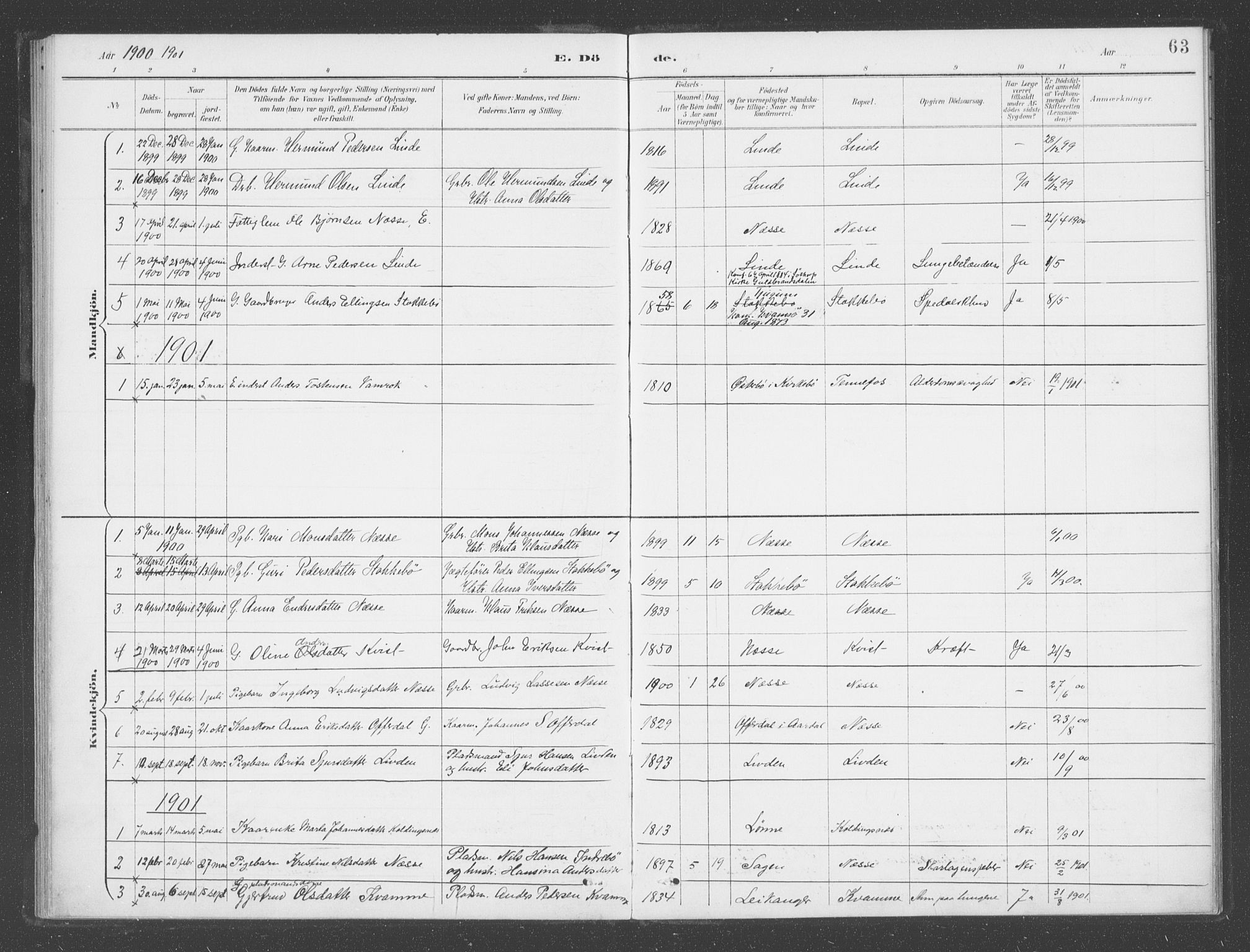 Vik sokneprestembete, AV/SAB-A-81501/H/Haa/Haad/L0002: Parish register (official) no. D  2, 1891-1907, p. 63