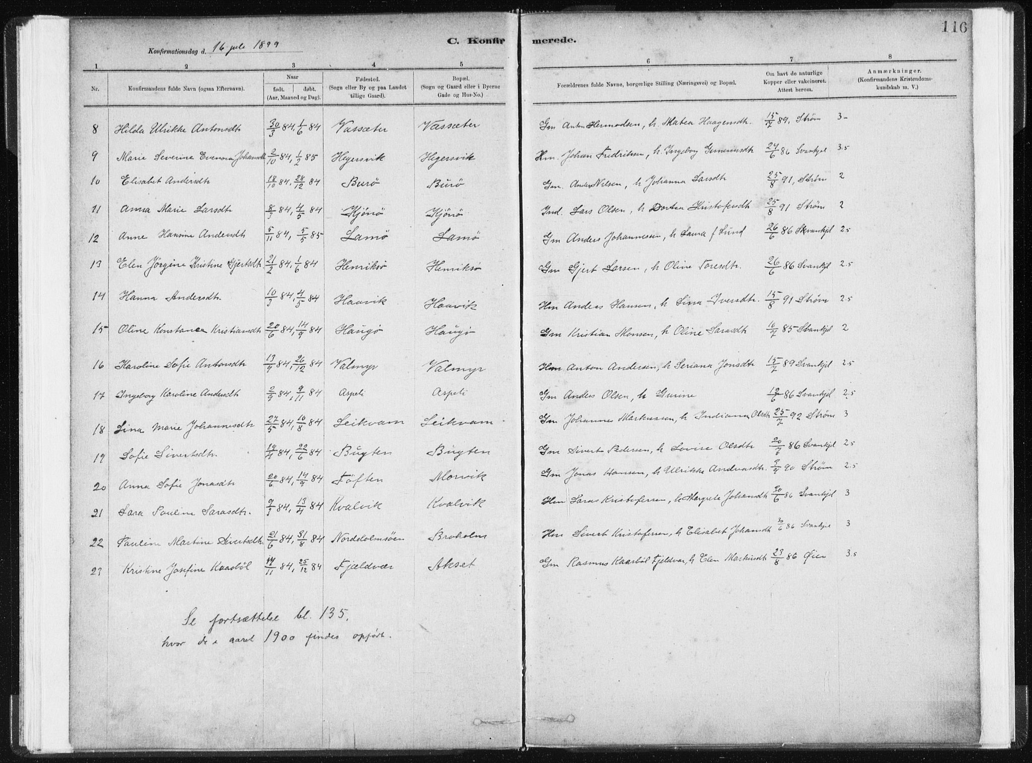 Ministerialprotokoller, klokkerbøker og fødselsregistre - Sør-Trøndelag, SAT/A-1456/634/L0533: Parish register (official) no. 634A09, 1882-1901, p. 116