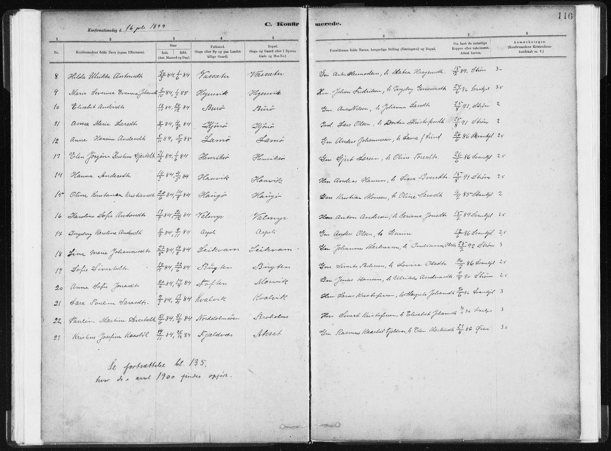 Ministerialprotokoller, klokkerbøker og fødselsregistre - Sør-Trøndelag, AV/SAT-A-1456/634/L0533: Parish register (official) no. 634A09, 1882-1901, p. 116